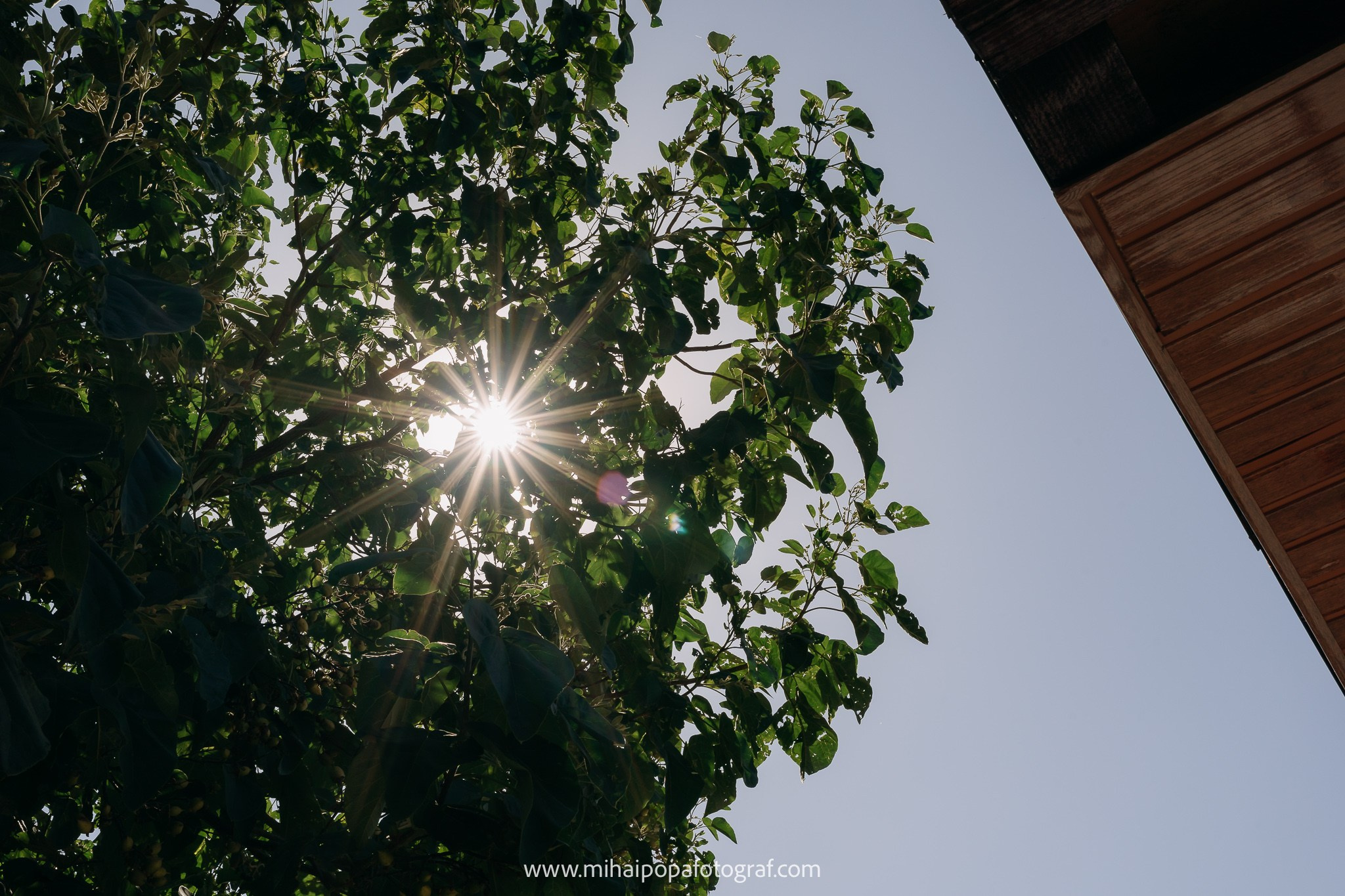 Fotograf de nuntă în Tecuci| Mihai Popa Fotograf. Fotograf Nuntă, Botez și Cununie Civilă în București - Mihai Popa