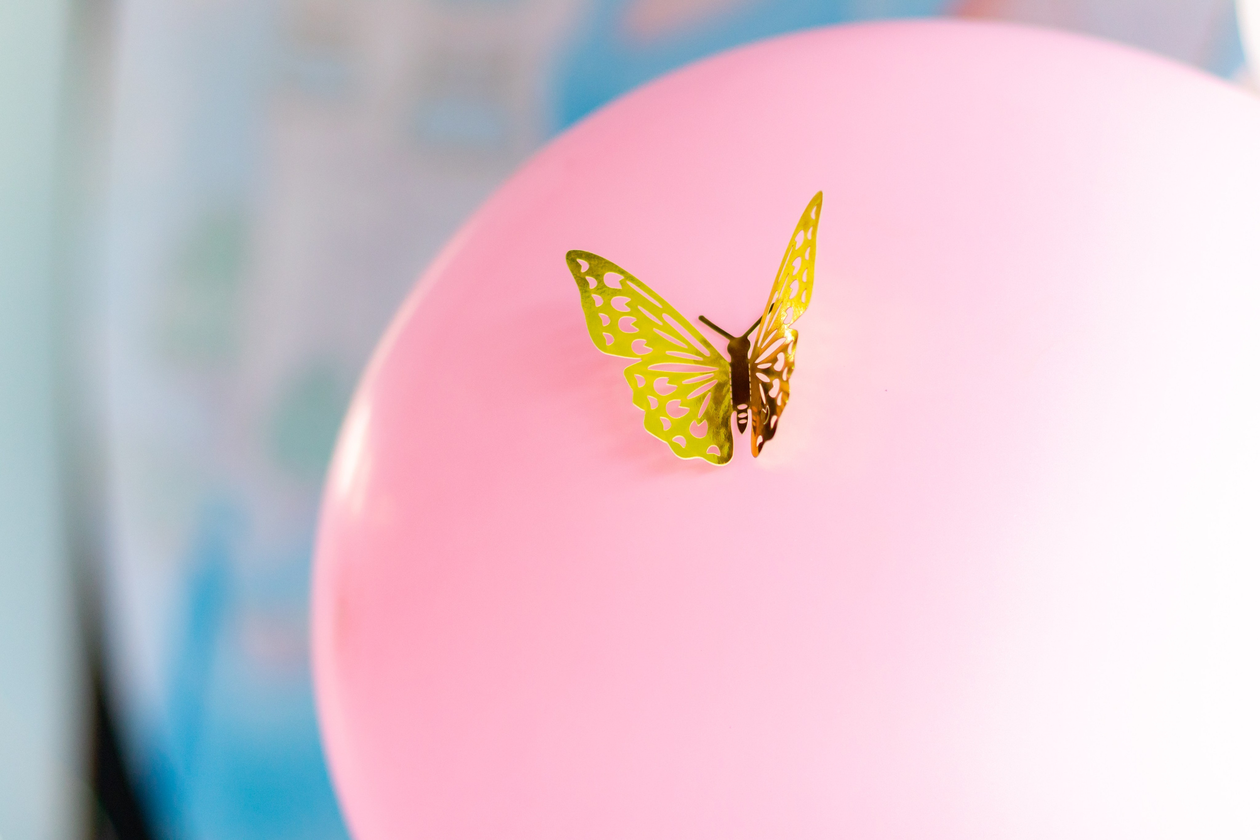 Alice — Aniversário 5 anos. Principal