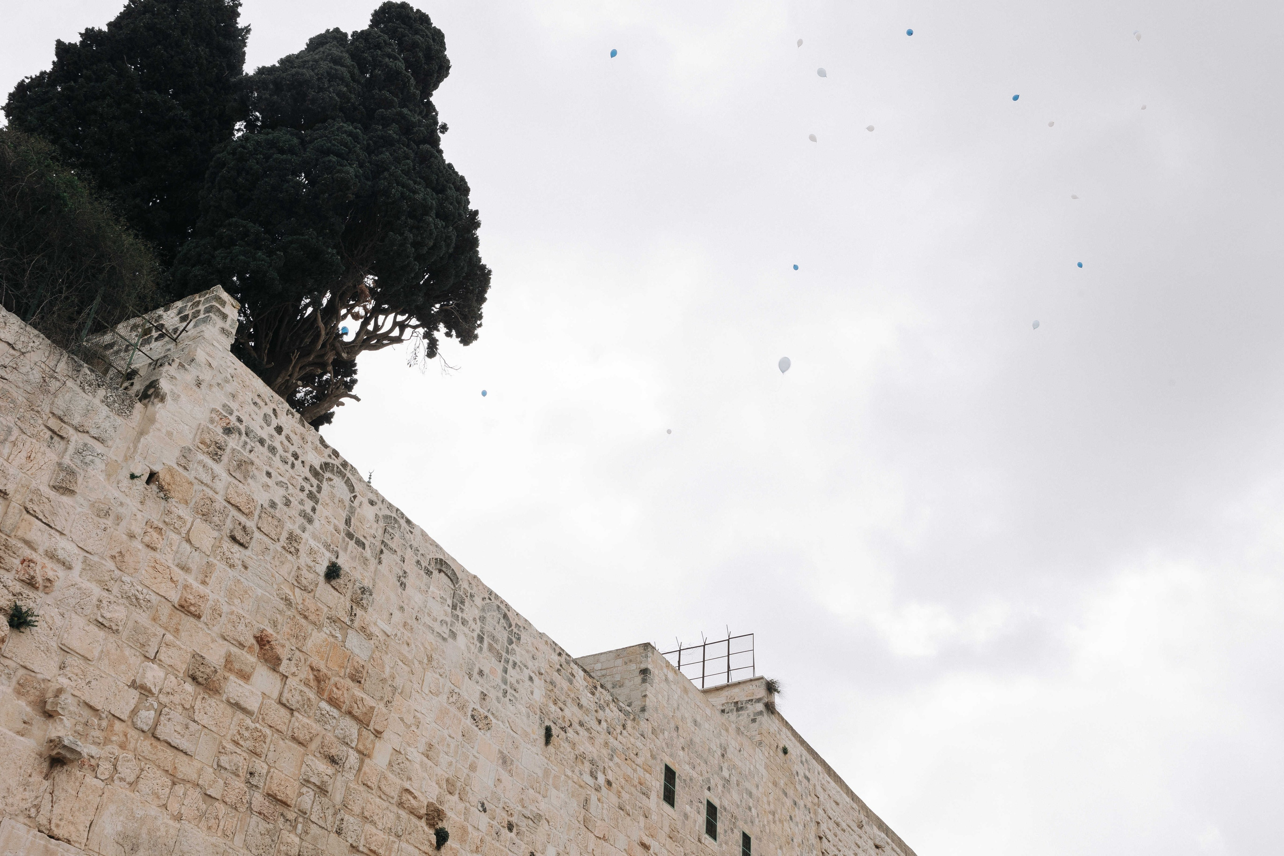 BAT MITZVAH FOR TWINS. Https://shi-photo.com/