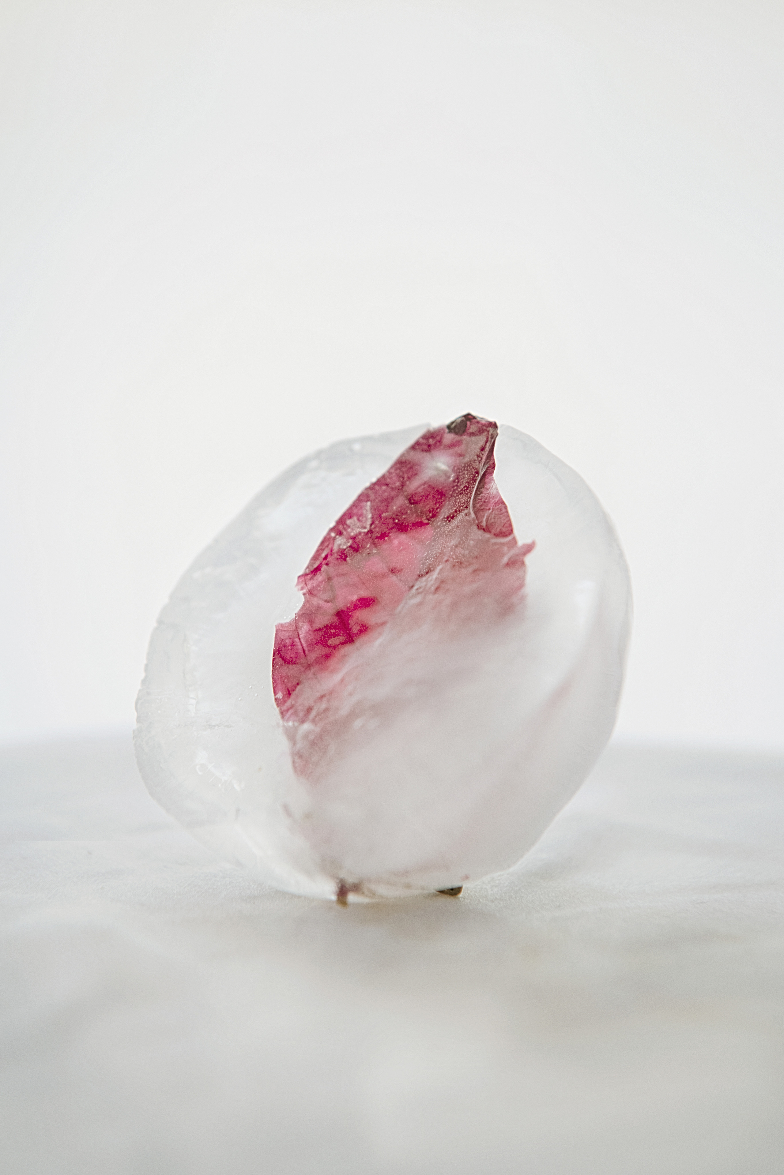 FROZEN NATURE. Anastasiia Antoniuk portrait, family and couple photographer, Portugal