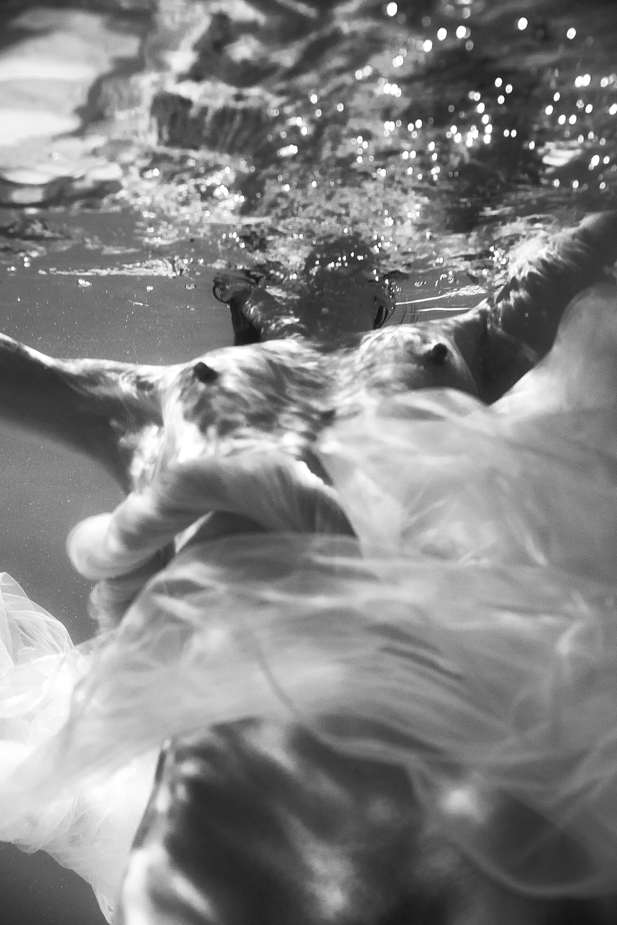 MERMAIDS. Anastasiia Antoniuk portrait, family and couple photographer, Portugal