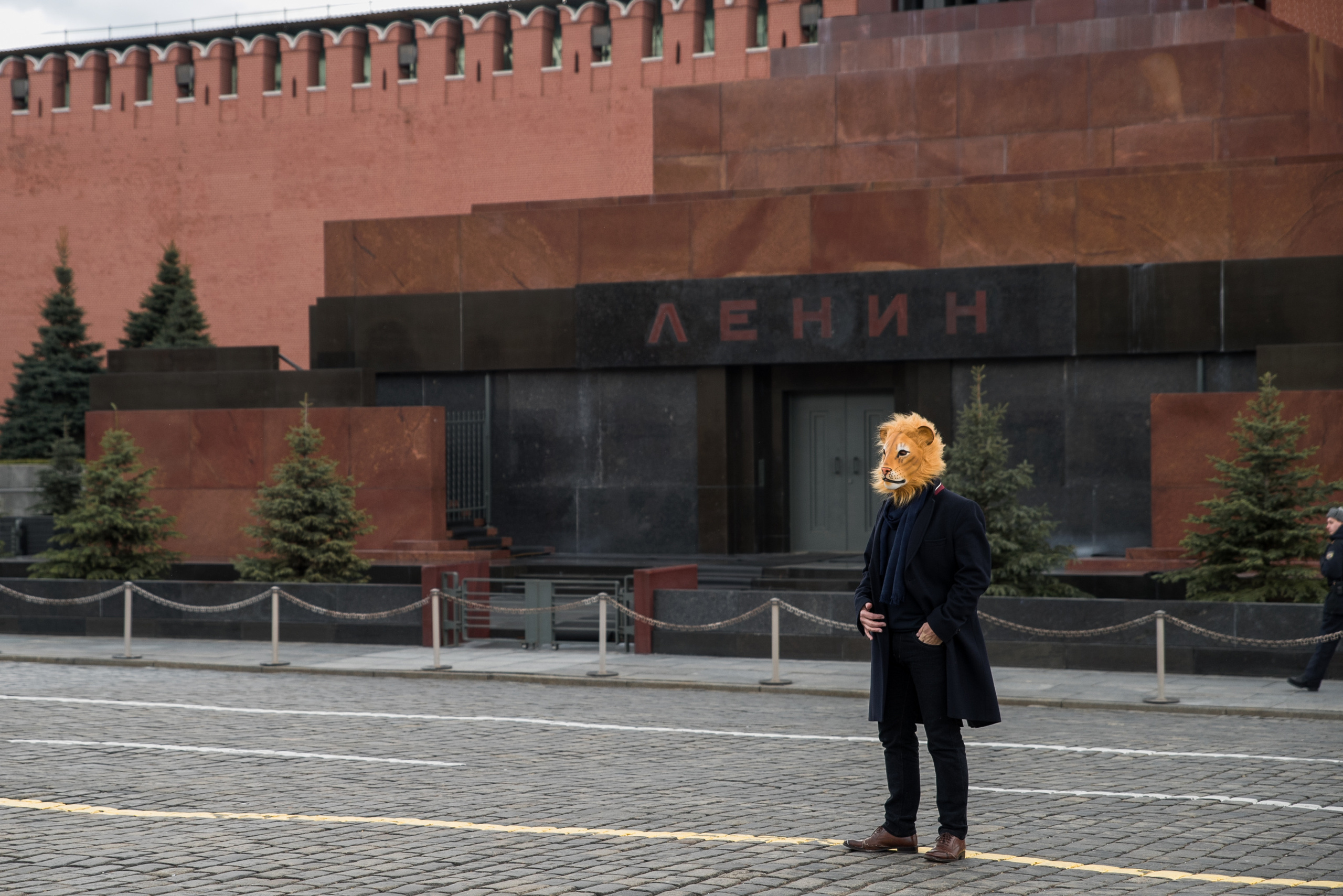 LEO. Anastasiia Antoniuk portrait, family and couple photographer, Portugal