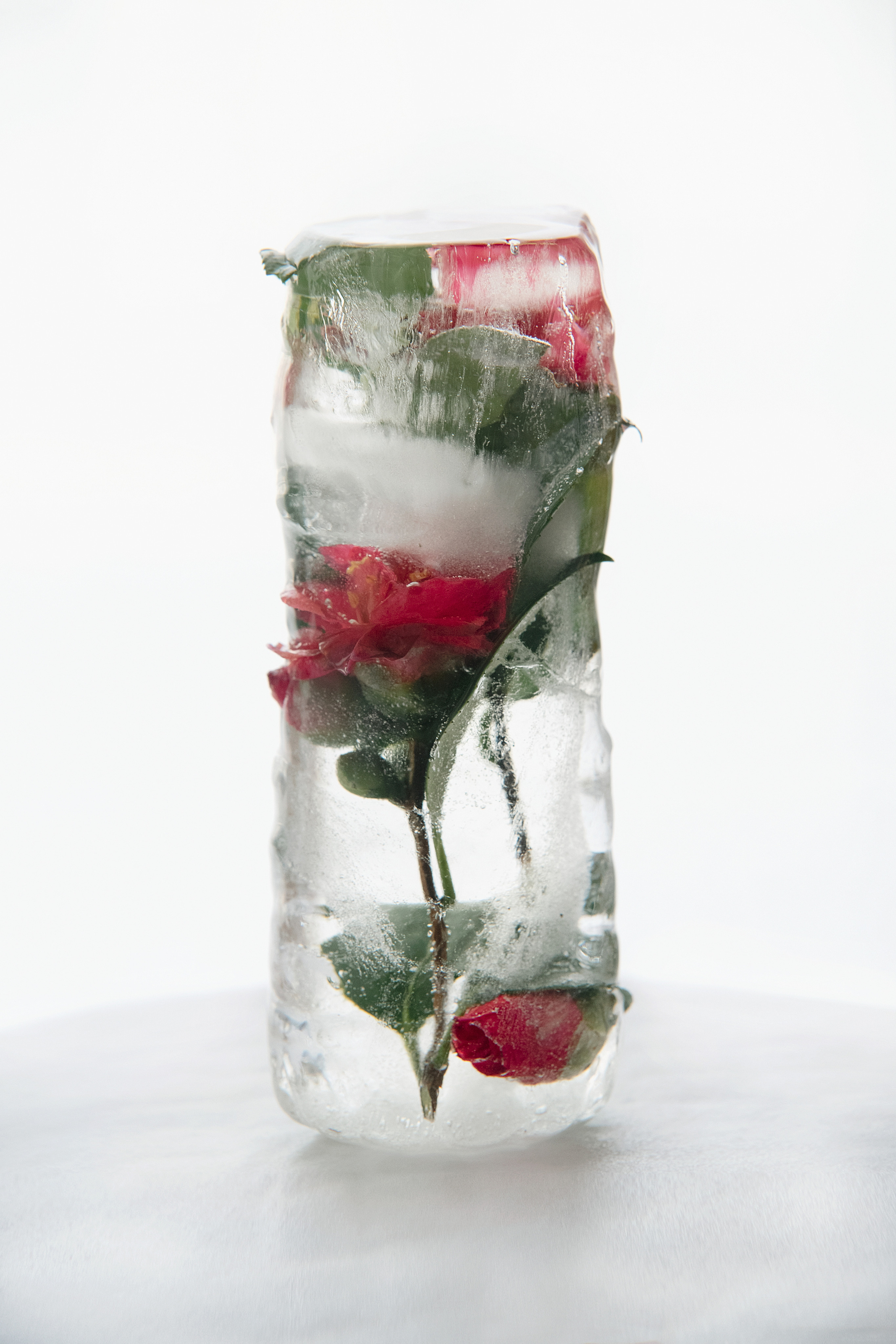 FROZEN NATURE. Anastasiia Antoniuk portrait, family and couple photographer, Portugal