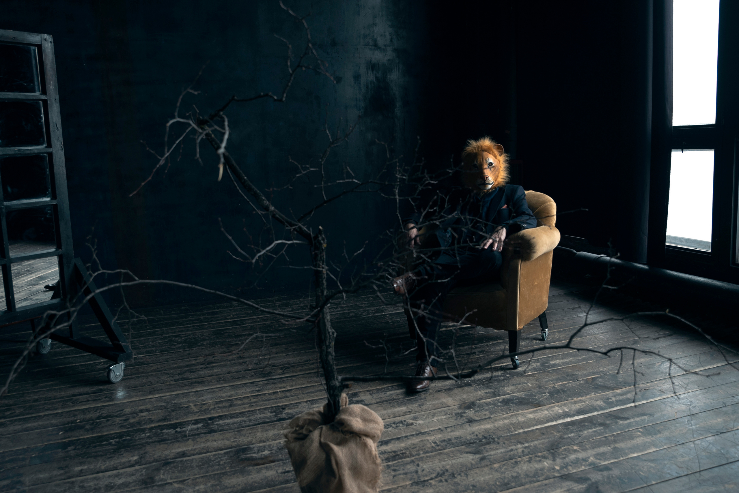 LEO. Anastasiia Antoniuk portrait, family and couple photographer, Portugal