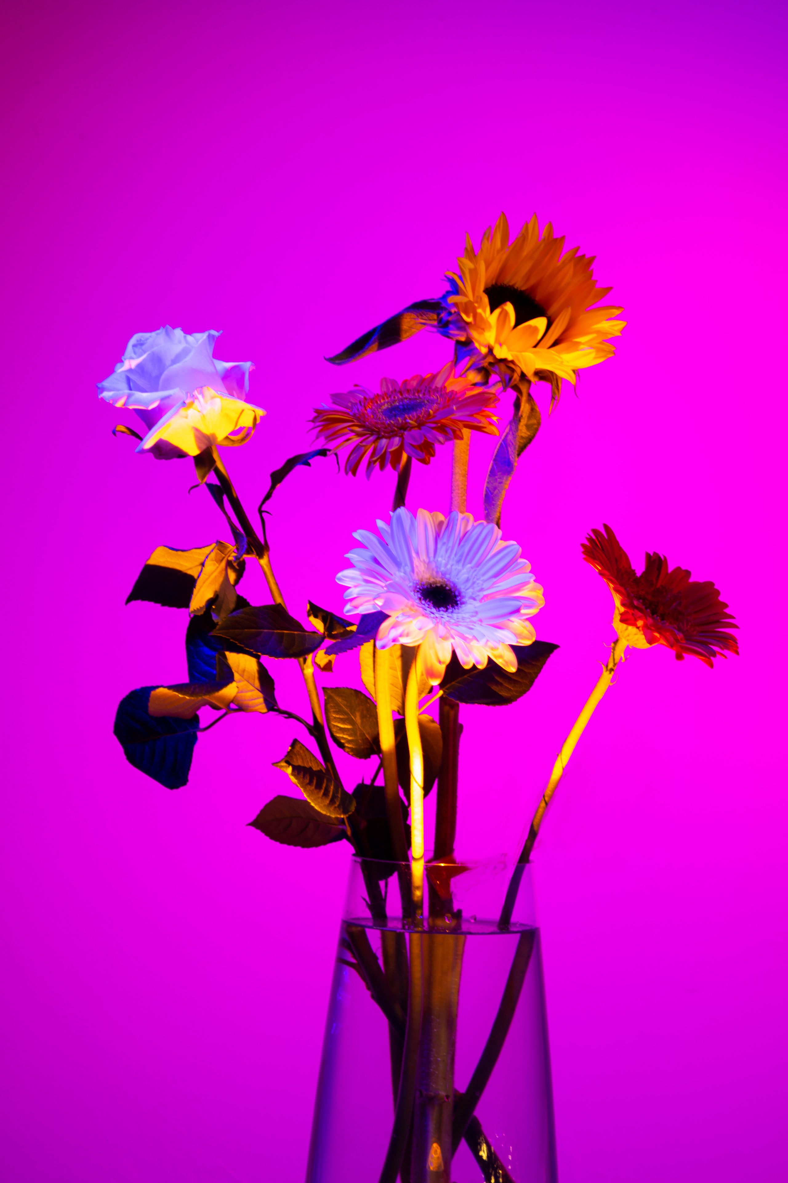 FLOWERS. Anastasiia Antoniuk portrait, family and couple photographer, Portugal