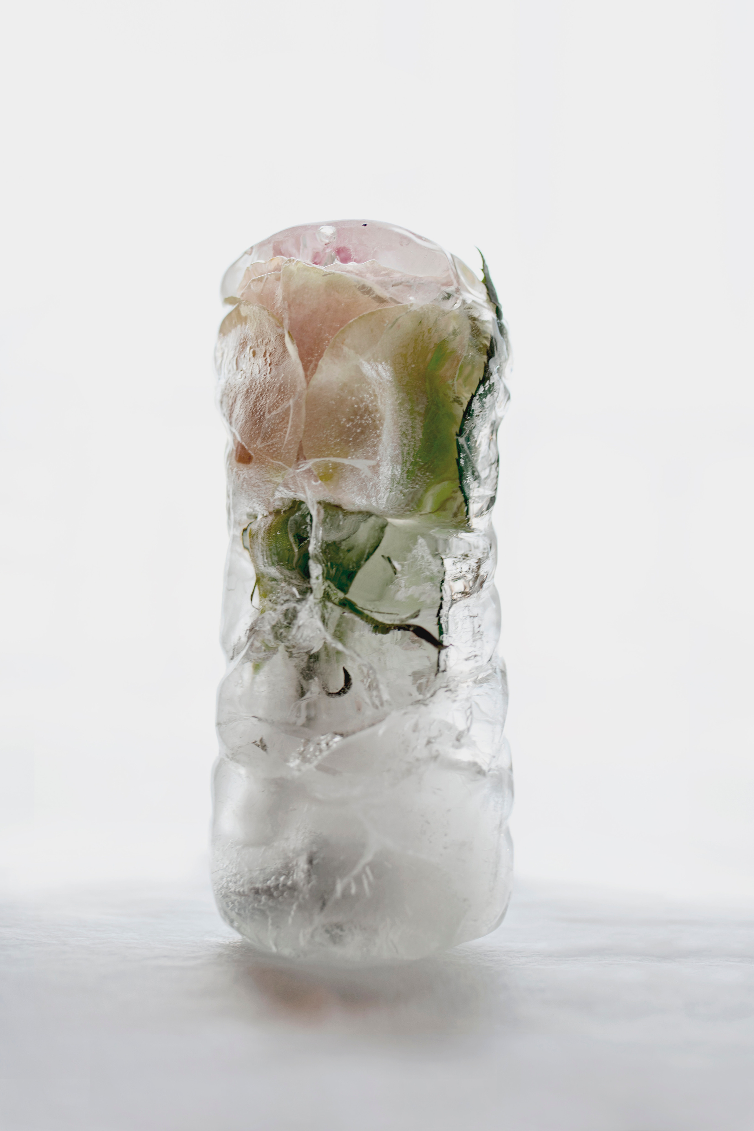 FROZEN NATURE. Anastasiia Antoniuk portrait, family and couple photographer, Portugal