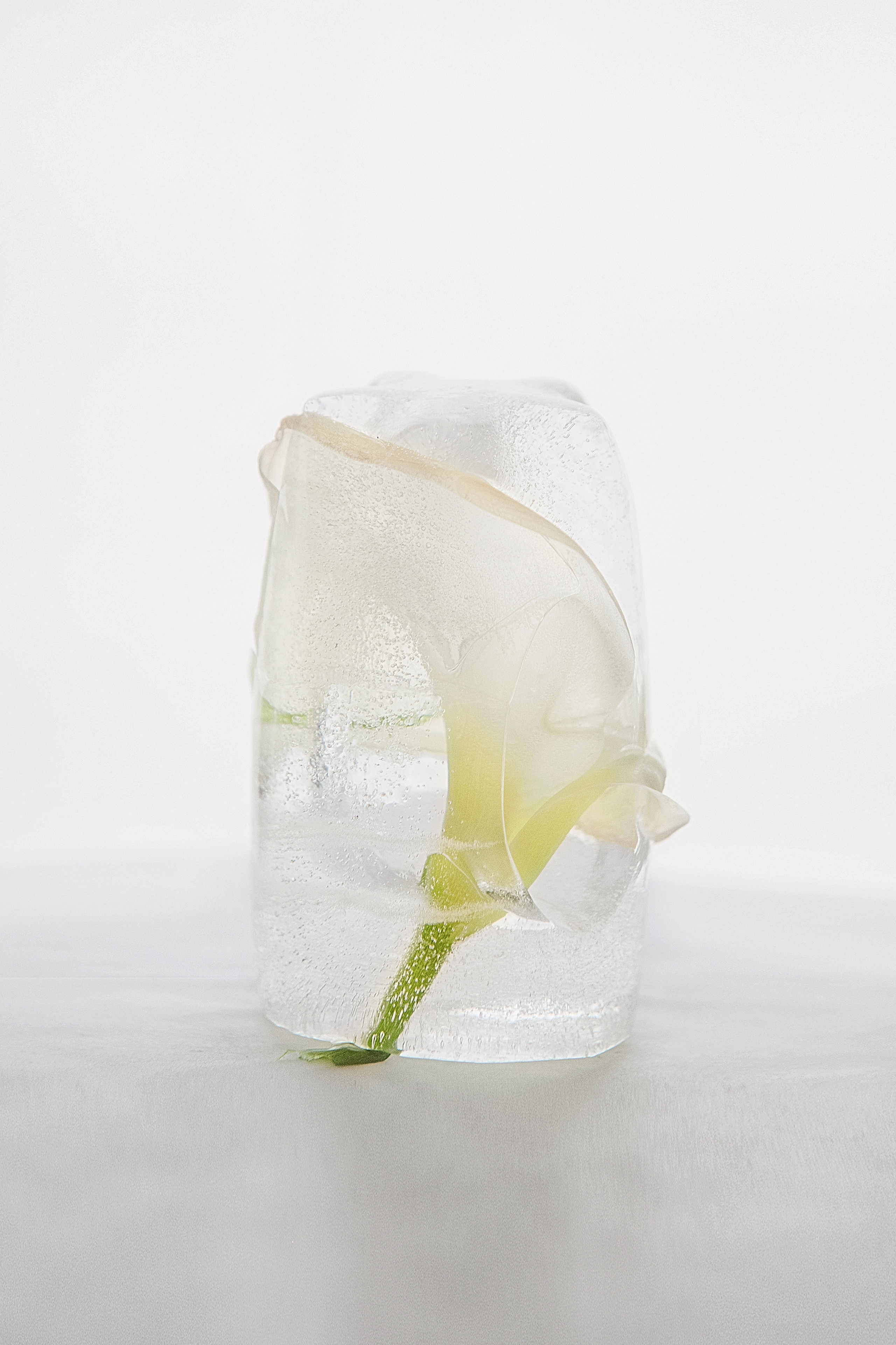 FROZEN NATURE. Anastasiia Antoniuk portrait, family and couple photographer, Portugal