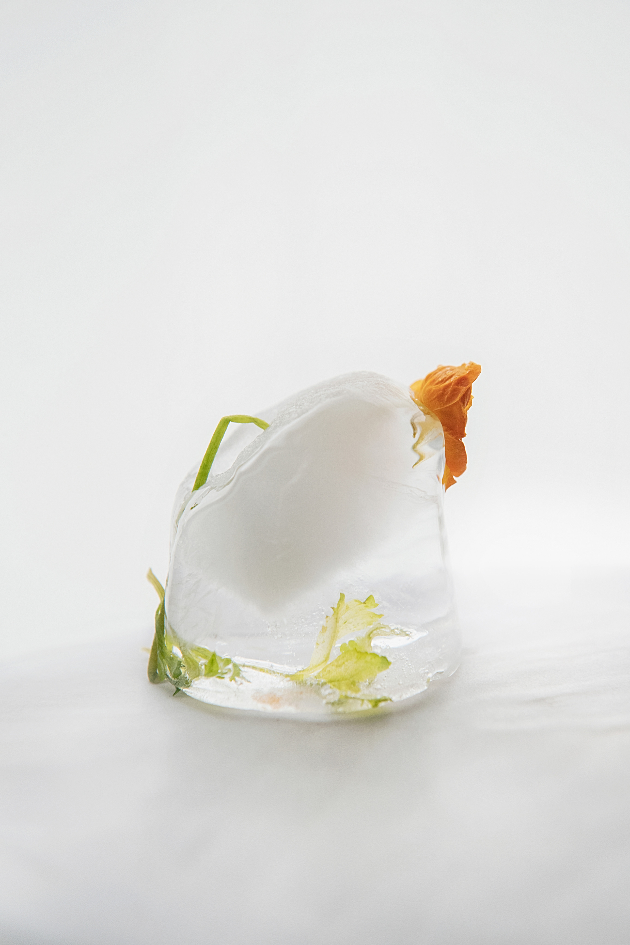 FROZEN NATURE. Anastasiia Antoniuk portrait, family and couple photographer, Portugal