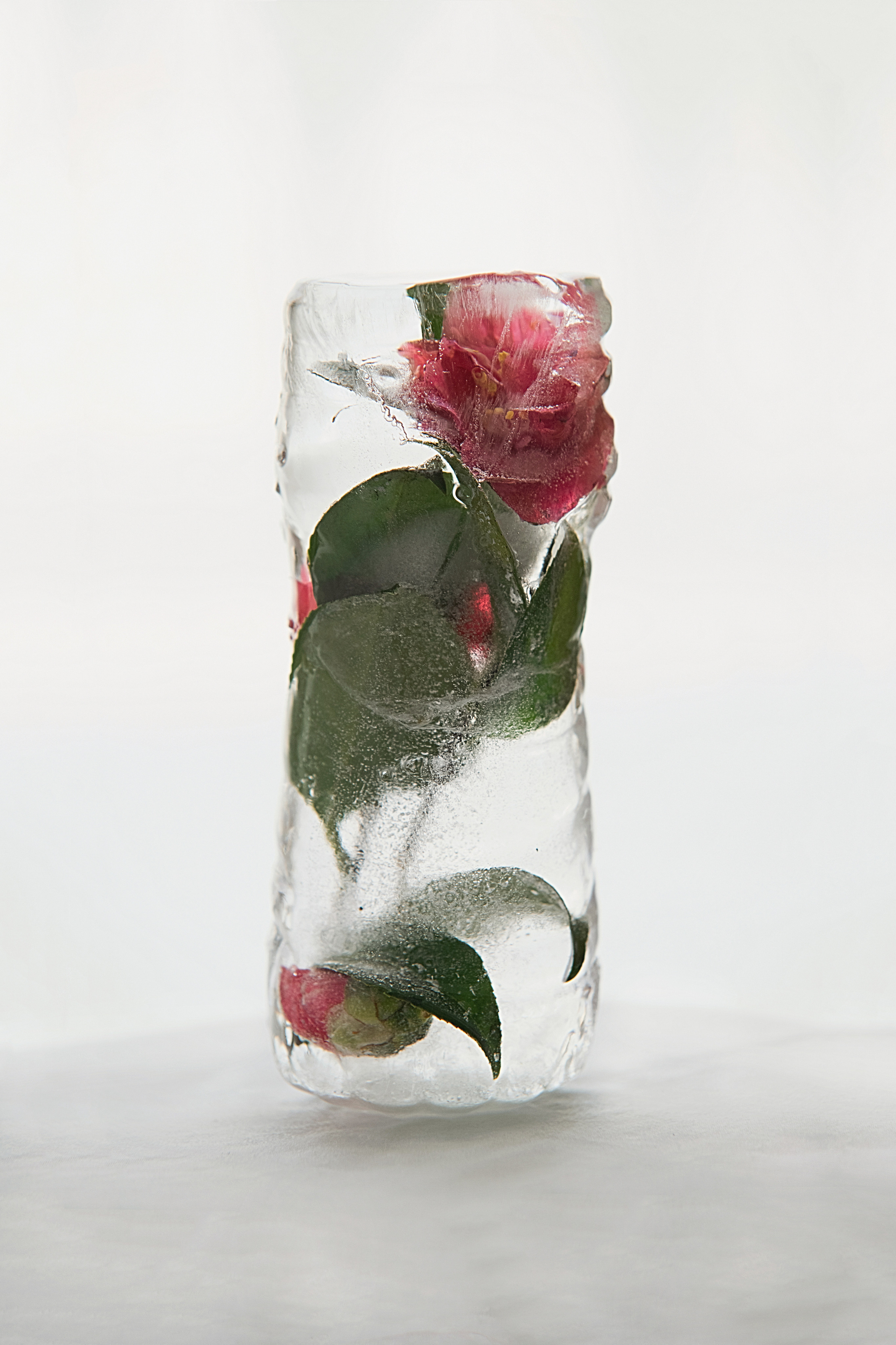 FROZEN NATURE. Anastasiia Antoniuk portrait, family and couple photographer, Portugal