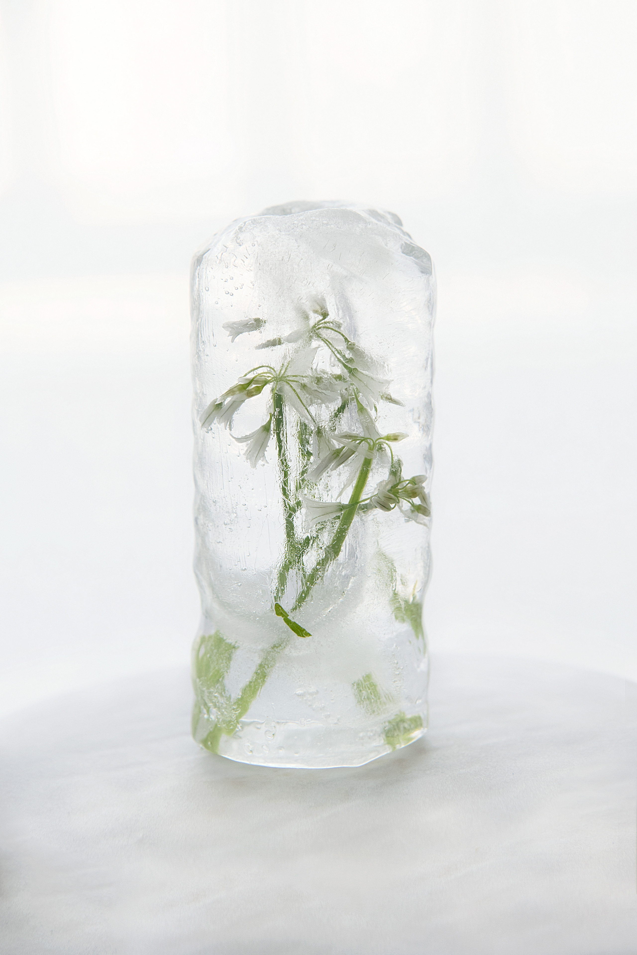 FROZEN NATURE. Anastasiia Antoniuk portrait, family and couple photographer, Portugal