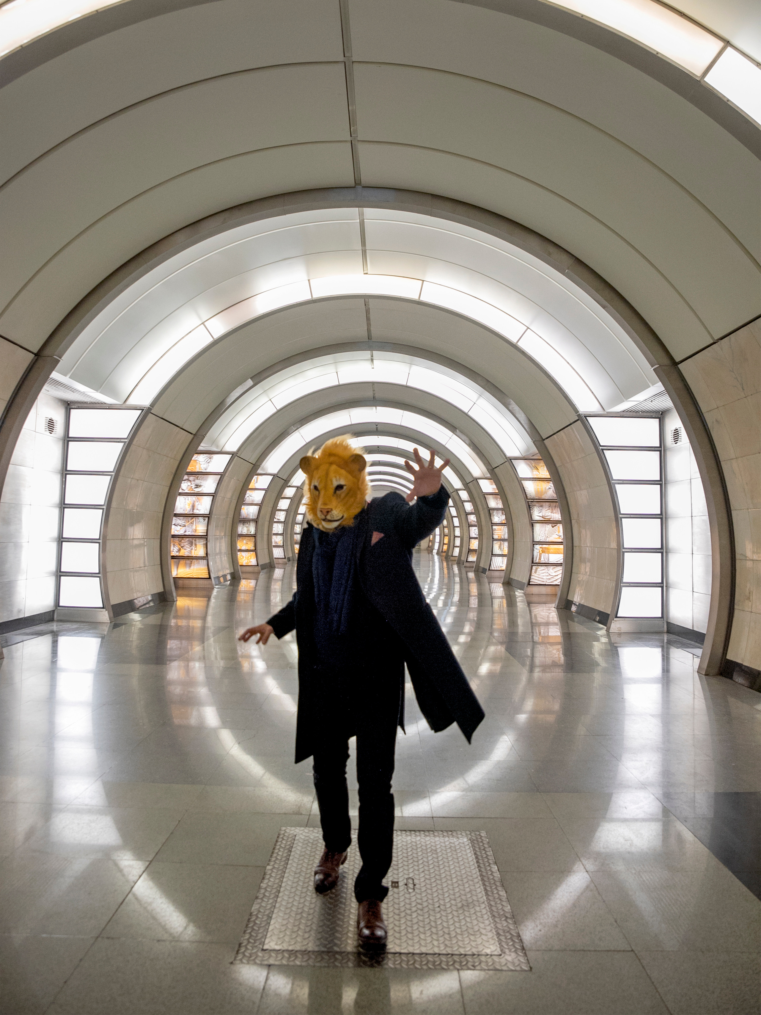 LEO. Anastasiia Antoniuk portrait, family and couple photographer, Portugal