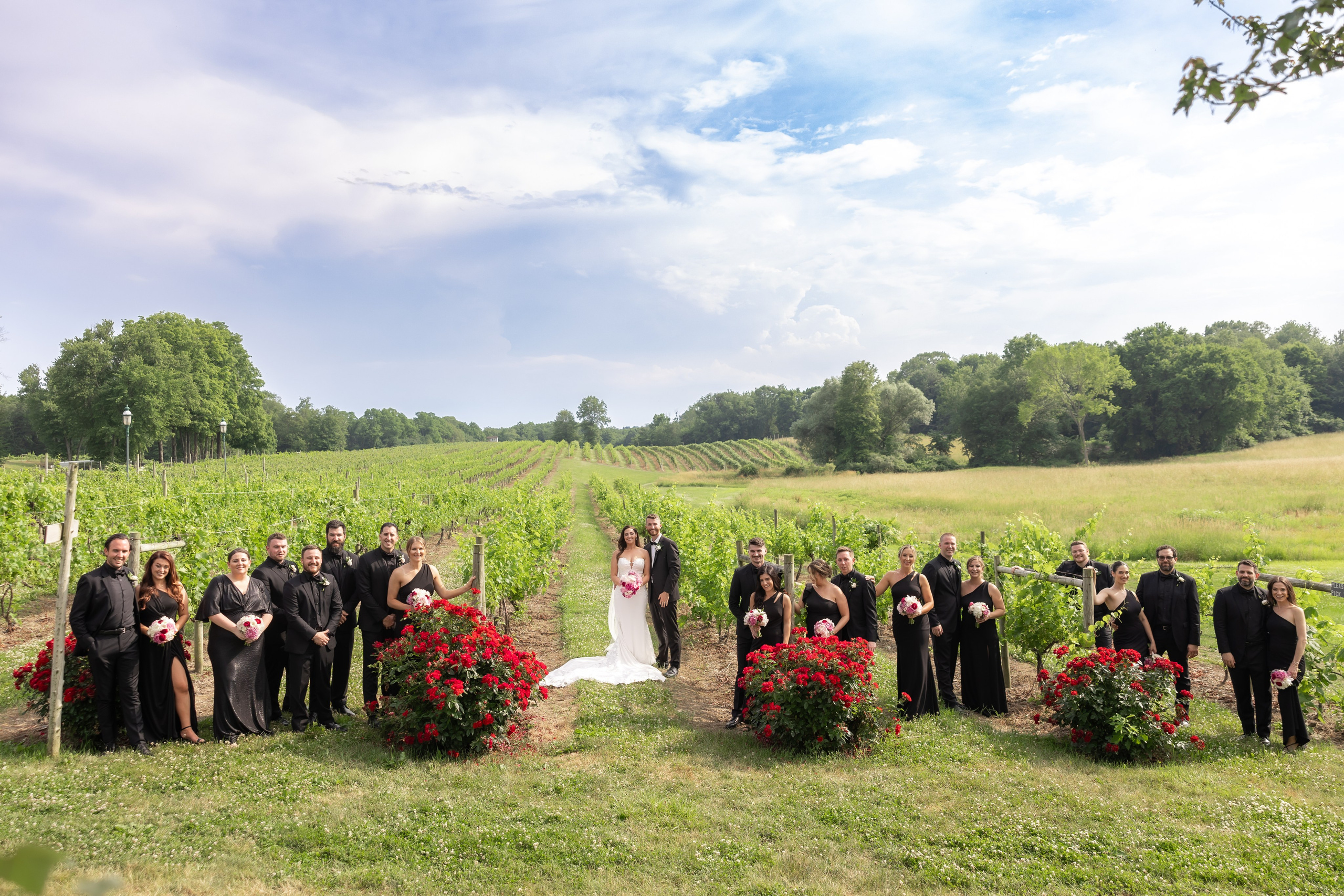 Angelica & Conor. Wedding Photo & Video