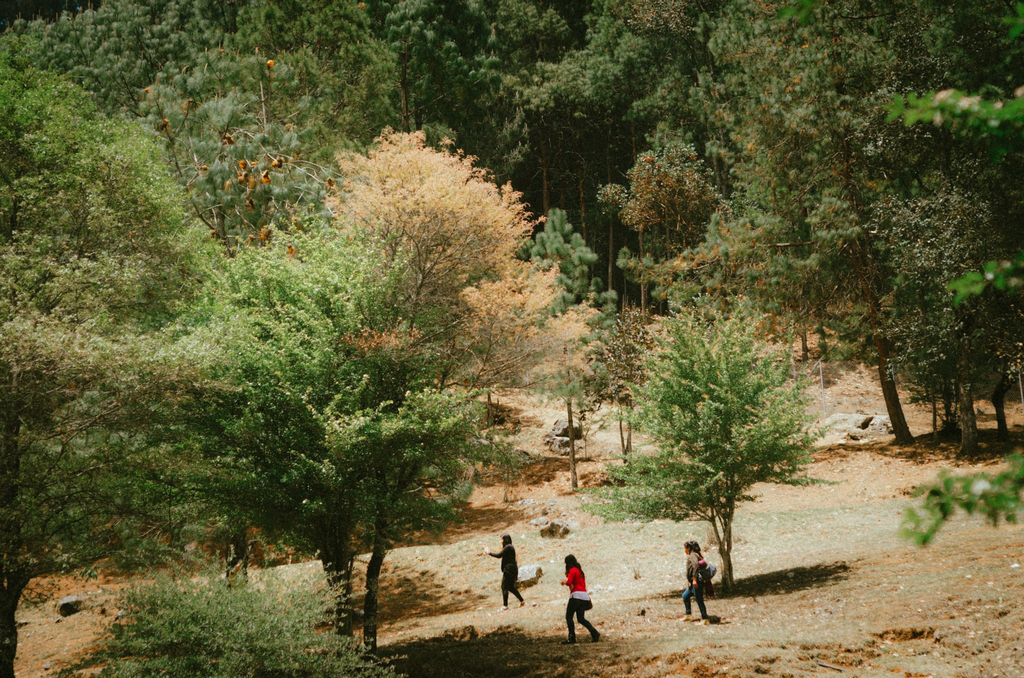 Betania, Chiapas. 2017. Fotógrafo en Villahermosa | ERALPUCHE