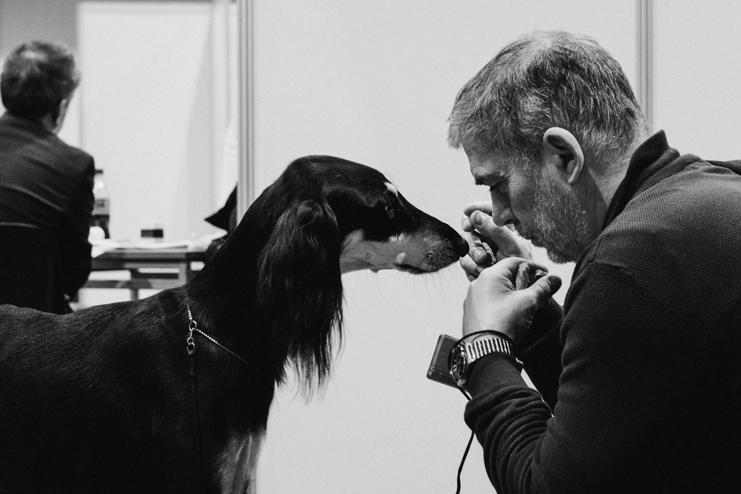 Tartu International Dog Show. Kat Laisaar — Pet photographer in Tallinn