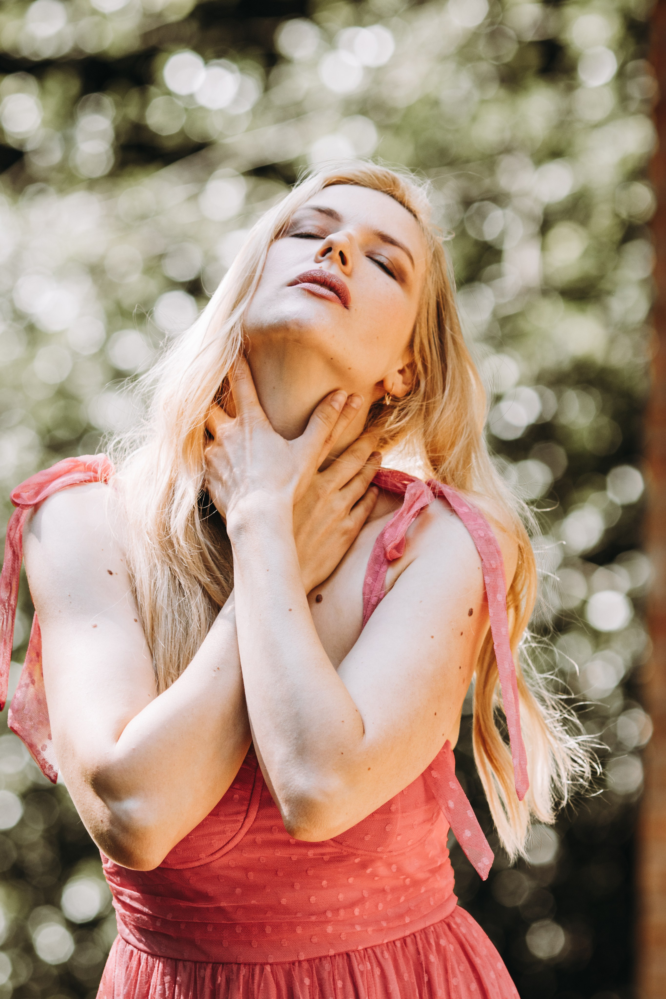 Porträt. Dienstleistungen