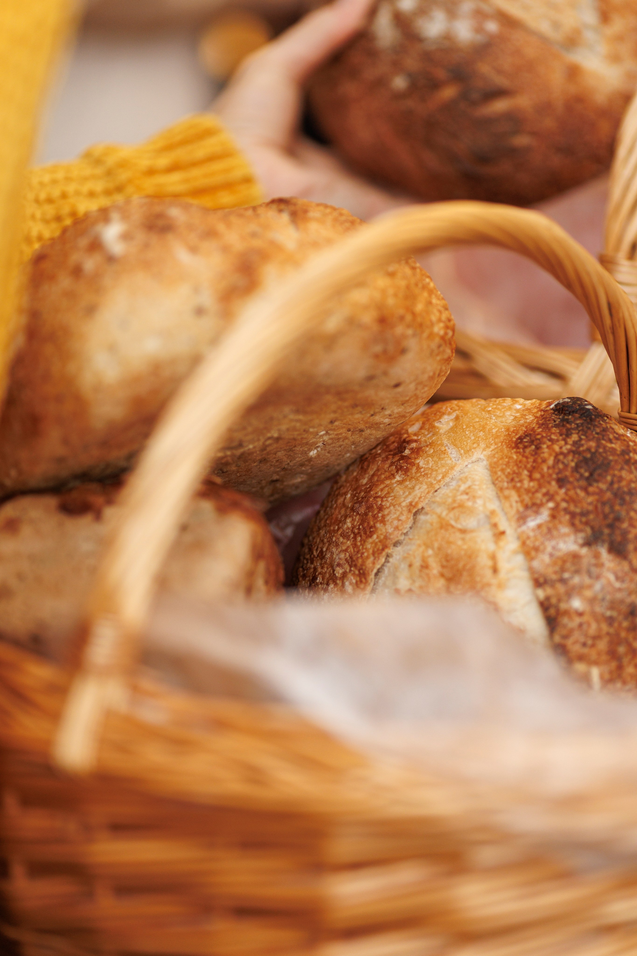 Hora Dorului 2025. Dienstleistungen