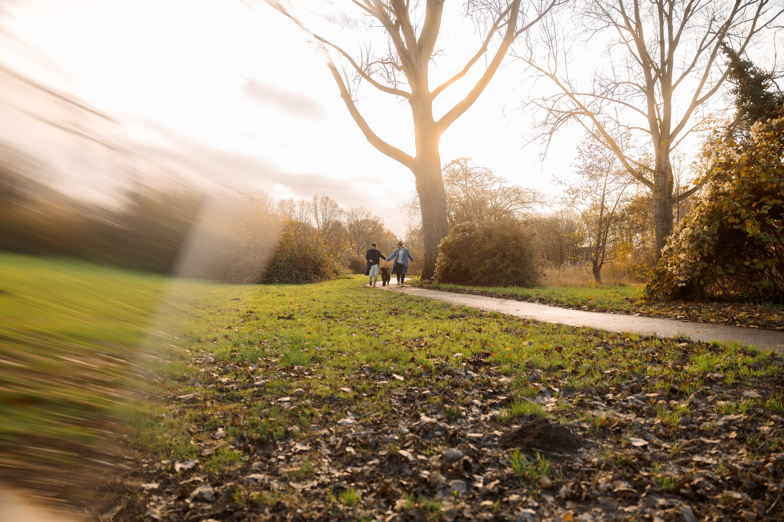 Pet Photoshoot in Spijkenisse | Rotterdam. Romantic & Soulful Photography by Natalia Olhova in Rotterdam