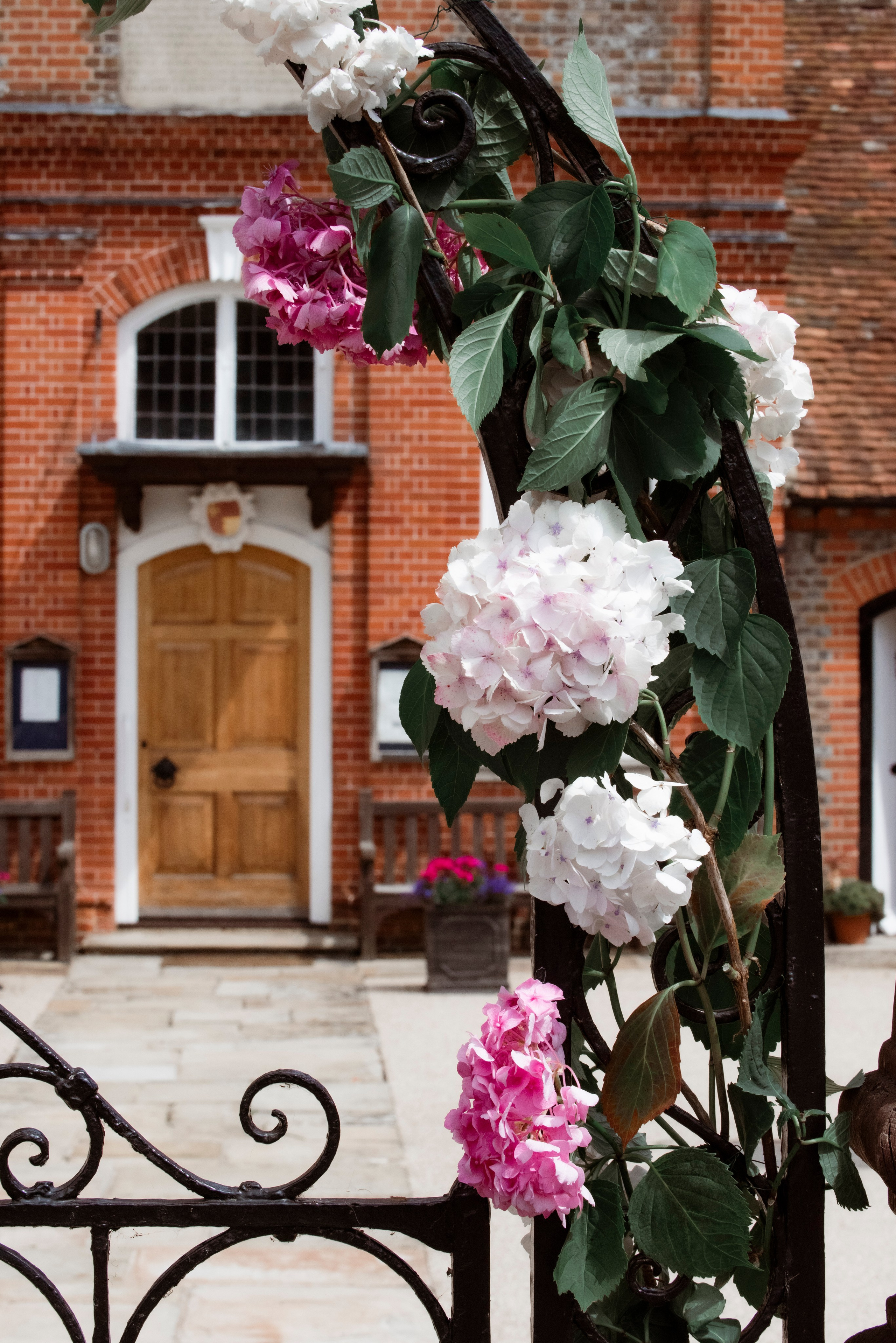 Family and Wedding. Photographer Anya Goldenberg. Works in Reading and surrounding areas