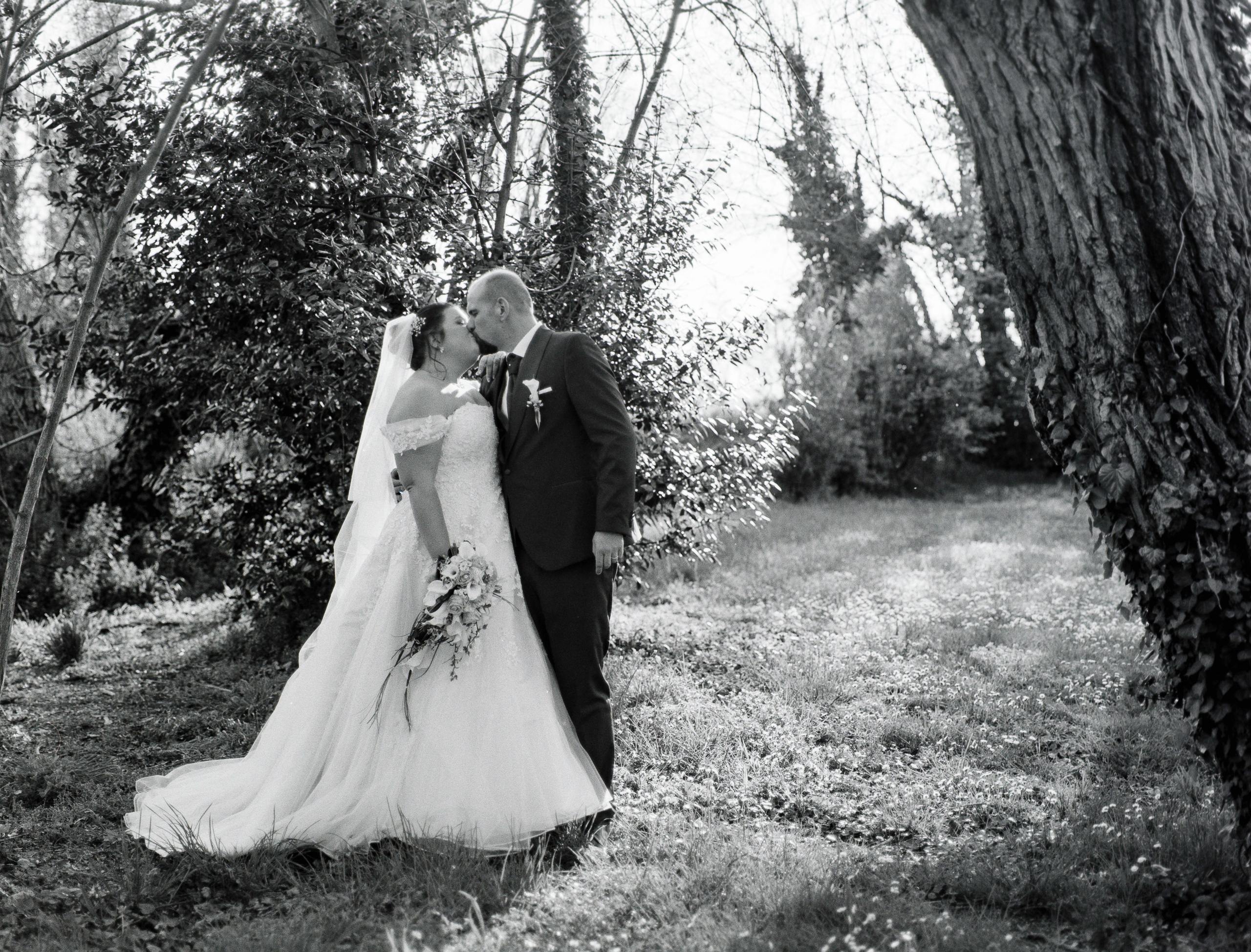 Medio formato - Mamiya. Fotografia e video