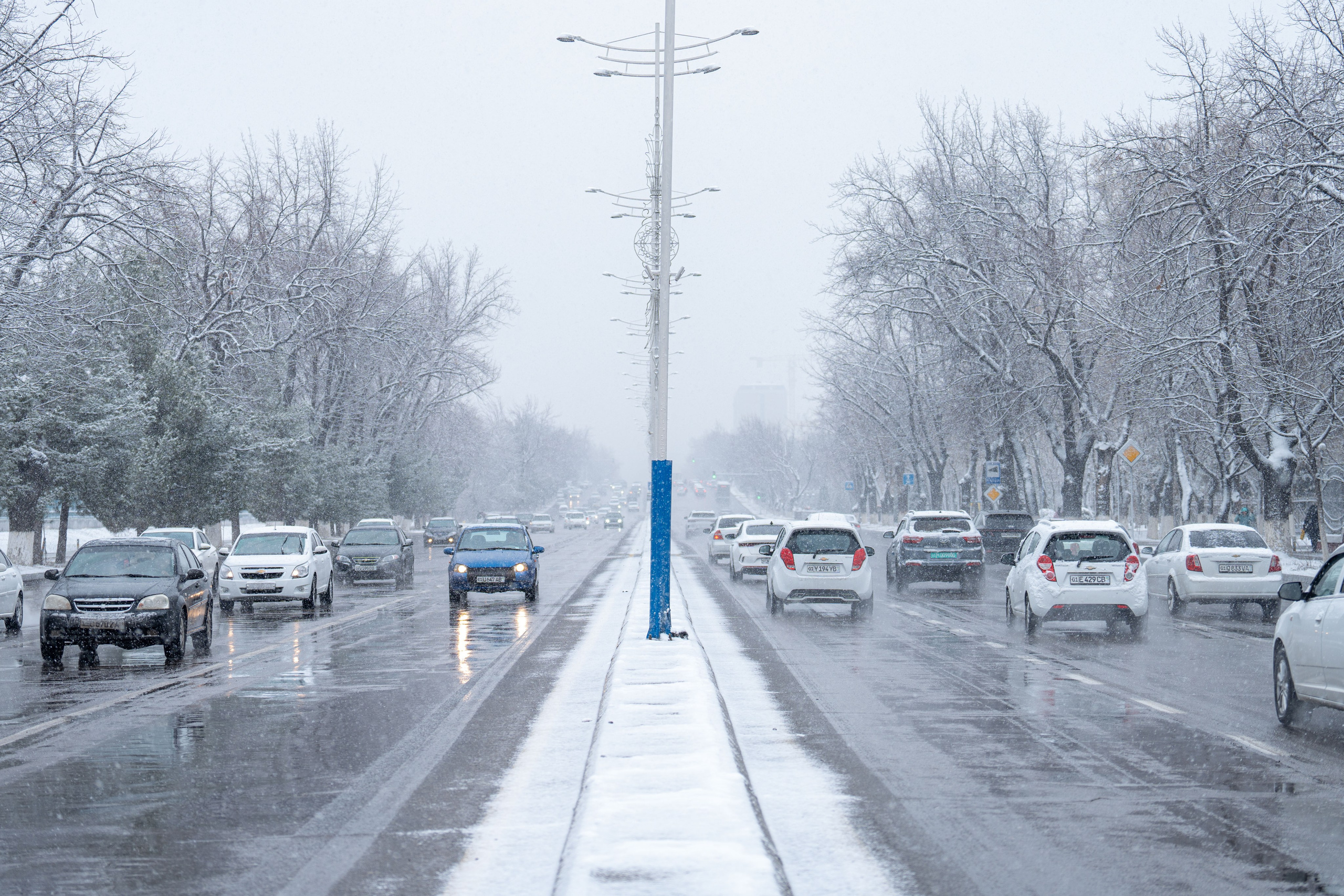 Первый снег в 2024 году. Георгий Намазов | Фотограф в Ташкенте