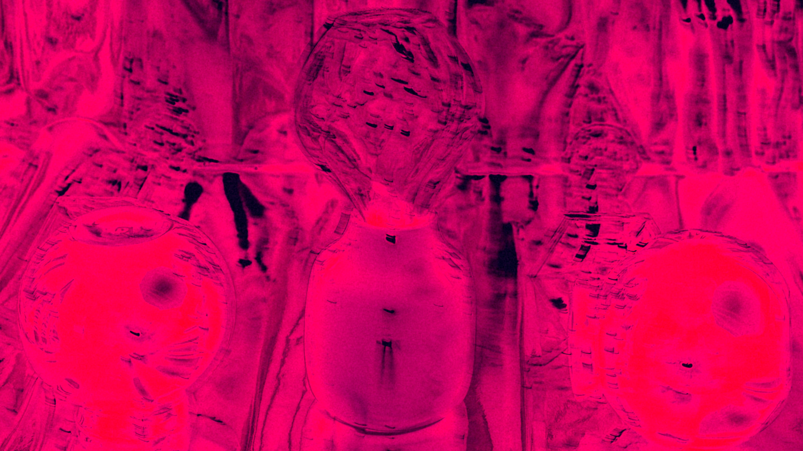 Still life. Ekaterina Tsurkina-Appina Photography Canada