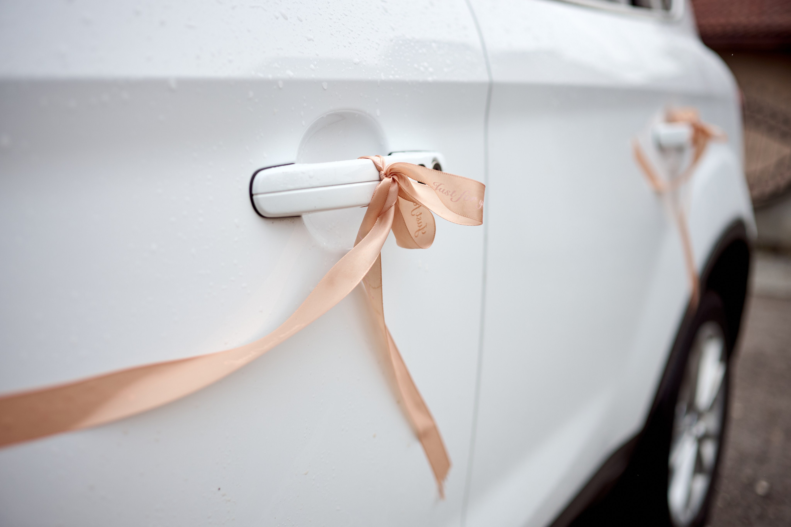 Ivana i Jefta. Marko Superio | Wedding & Portrait Photographer