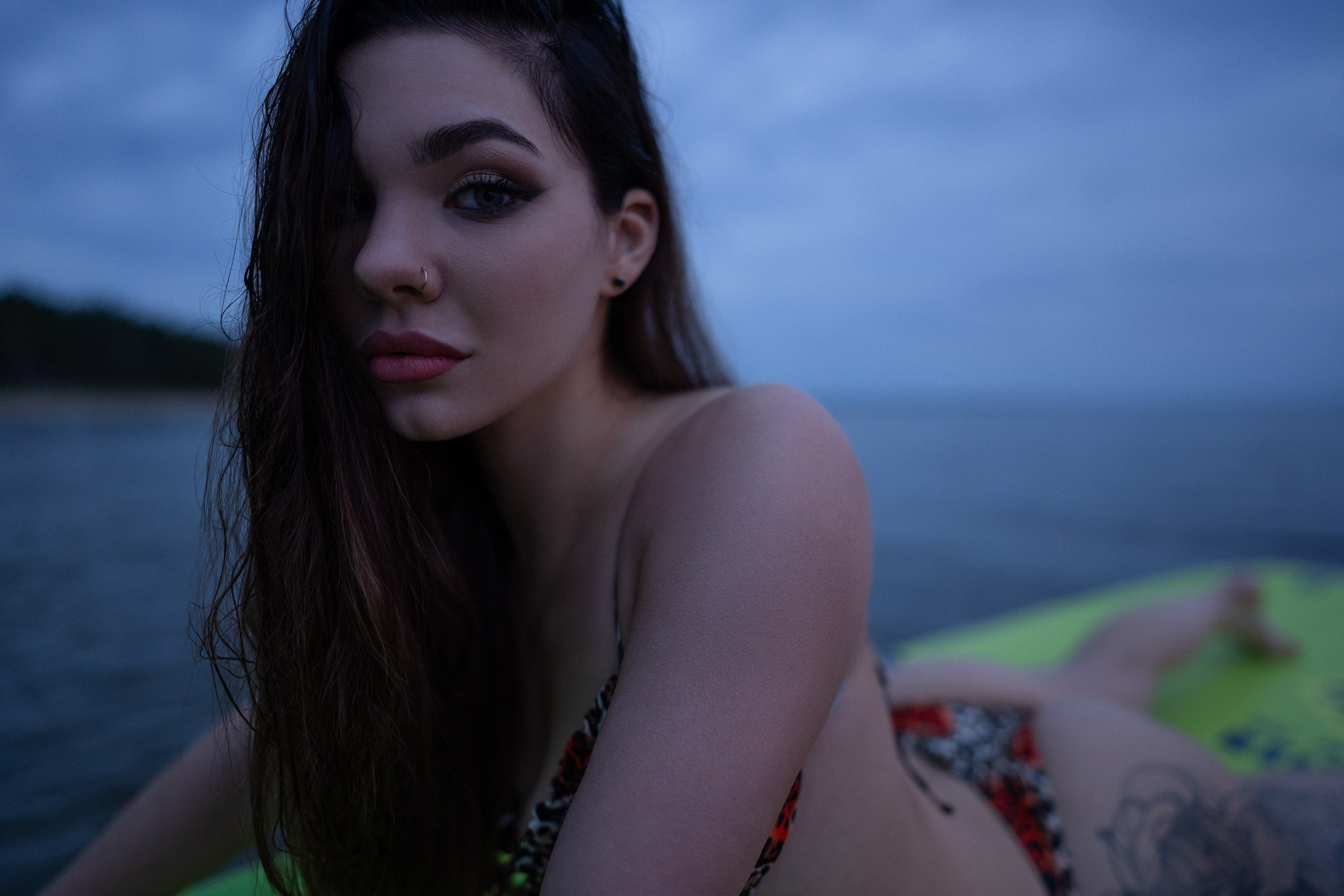 Vanessa