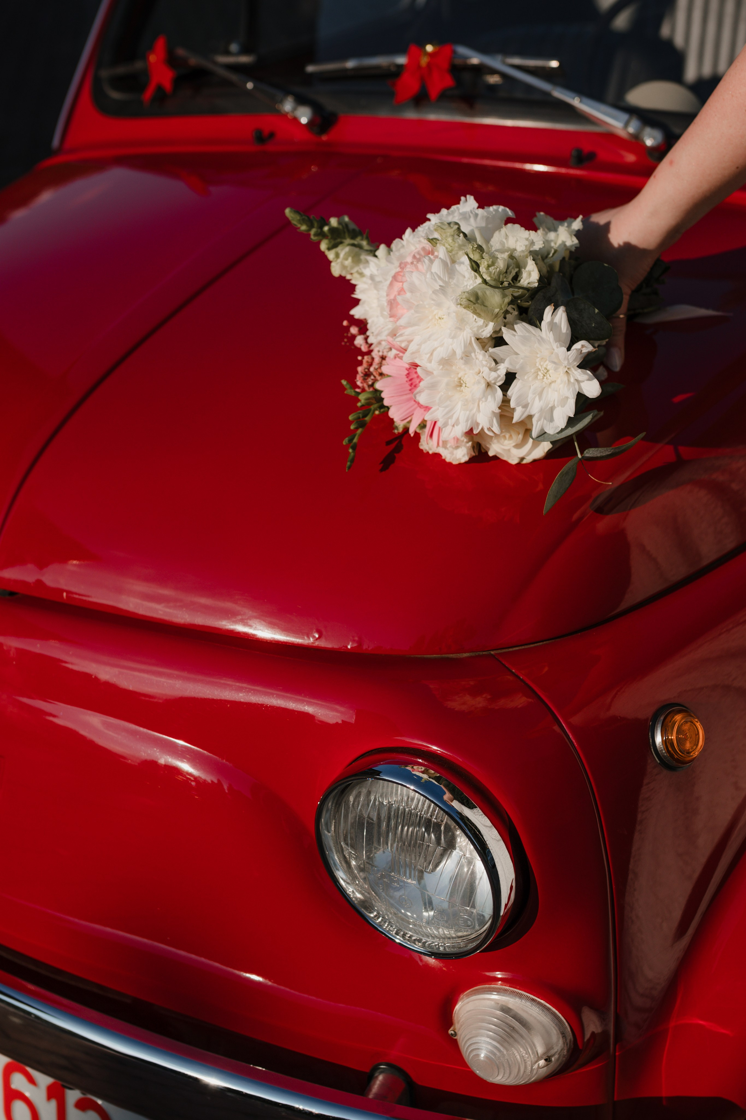 Francesca & Petros. Catalin Brinza