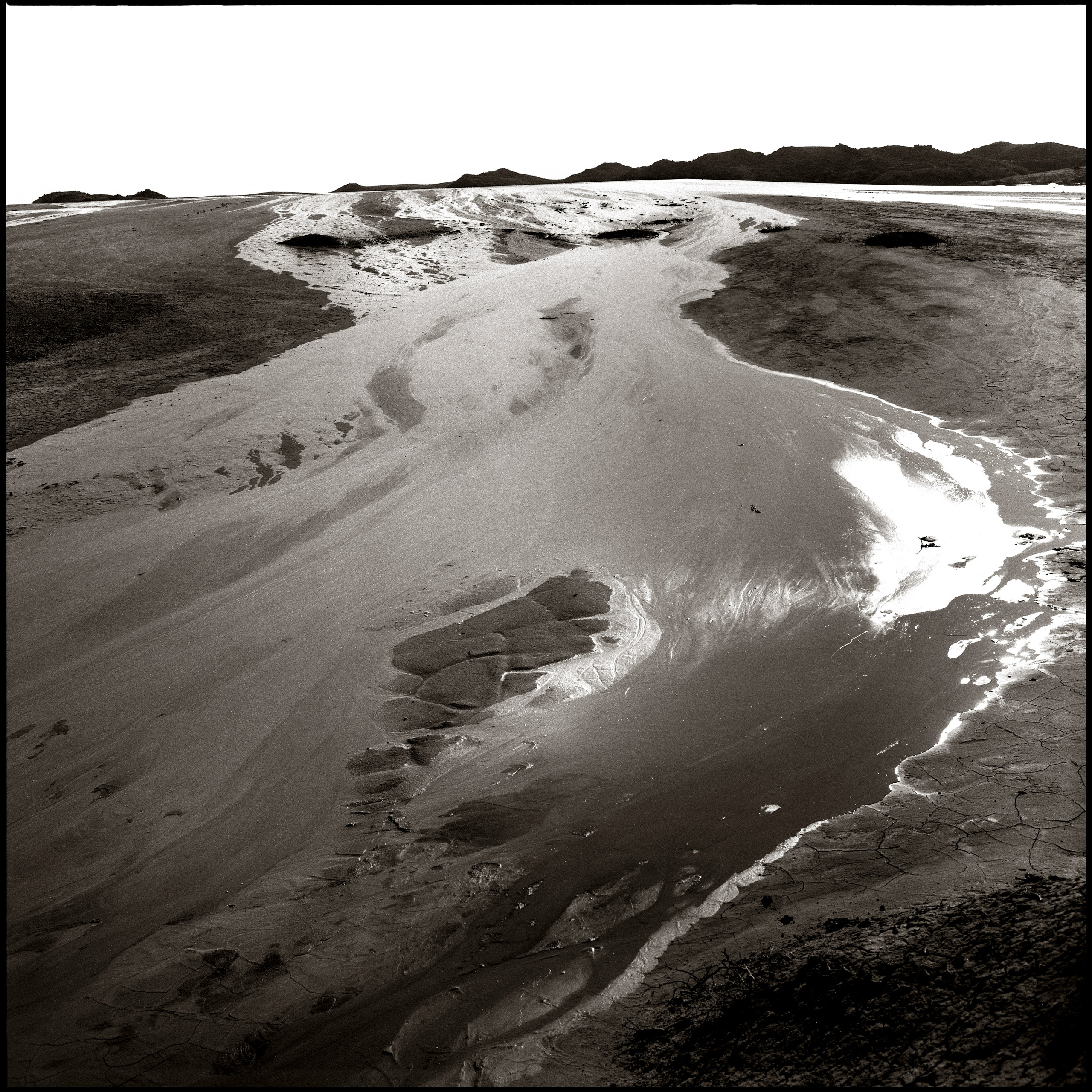 NATURE. Www.sananaleskerov.com