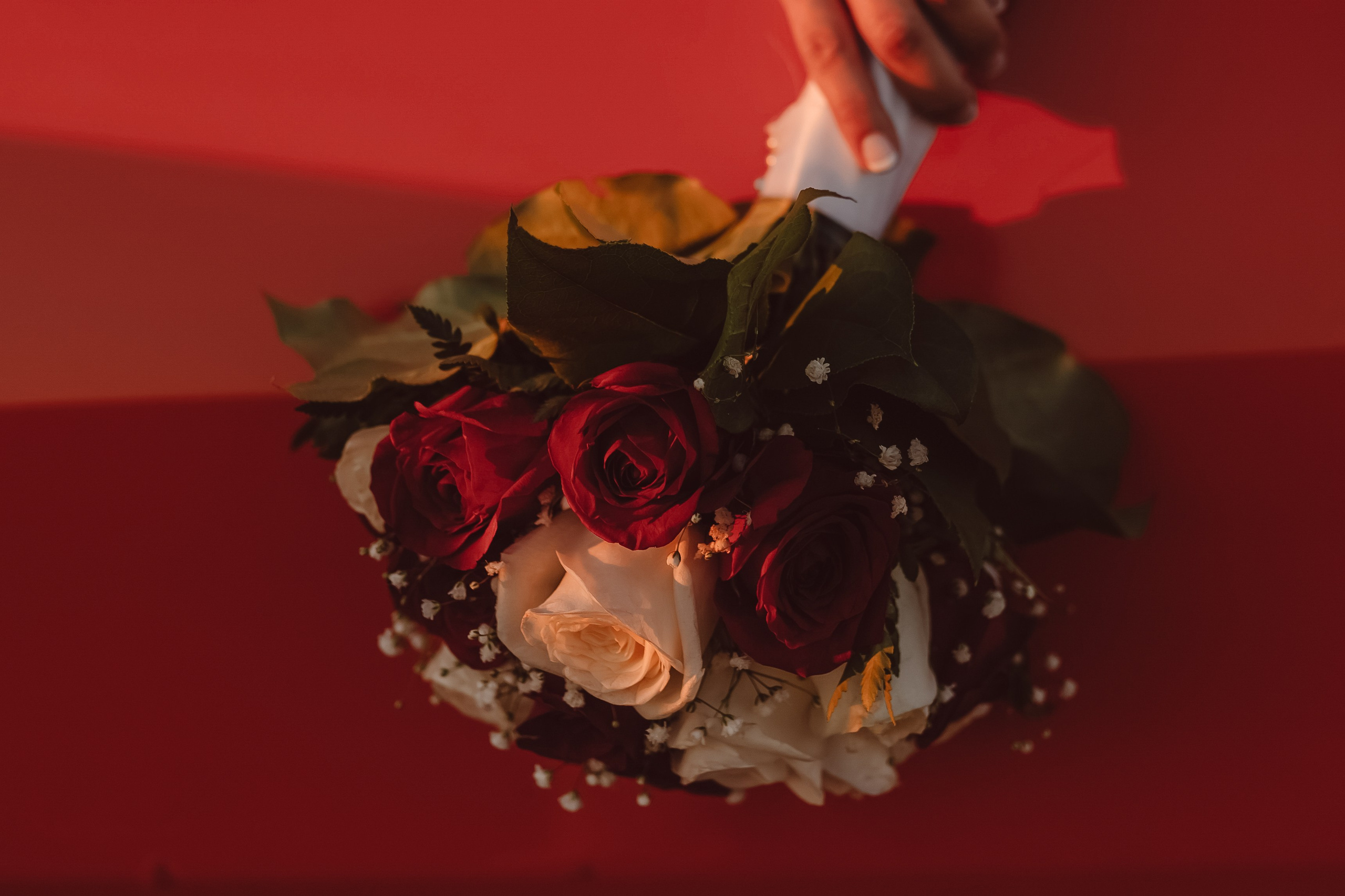 Wedding. Wedding and family photographer in Calgary Kate Beliaeva