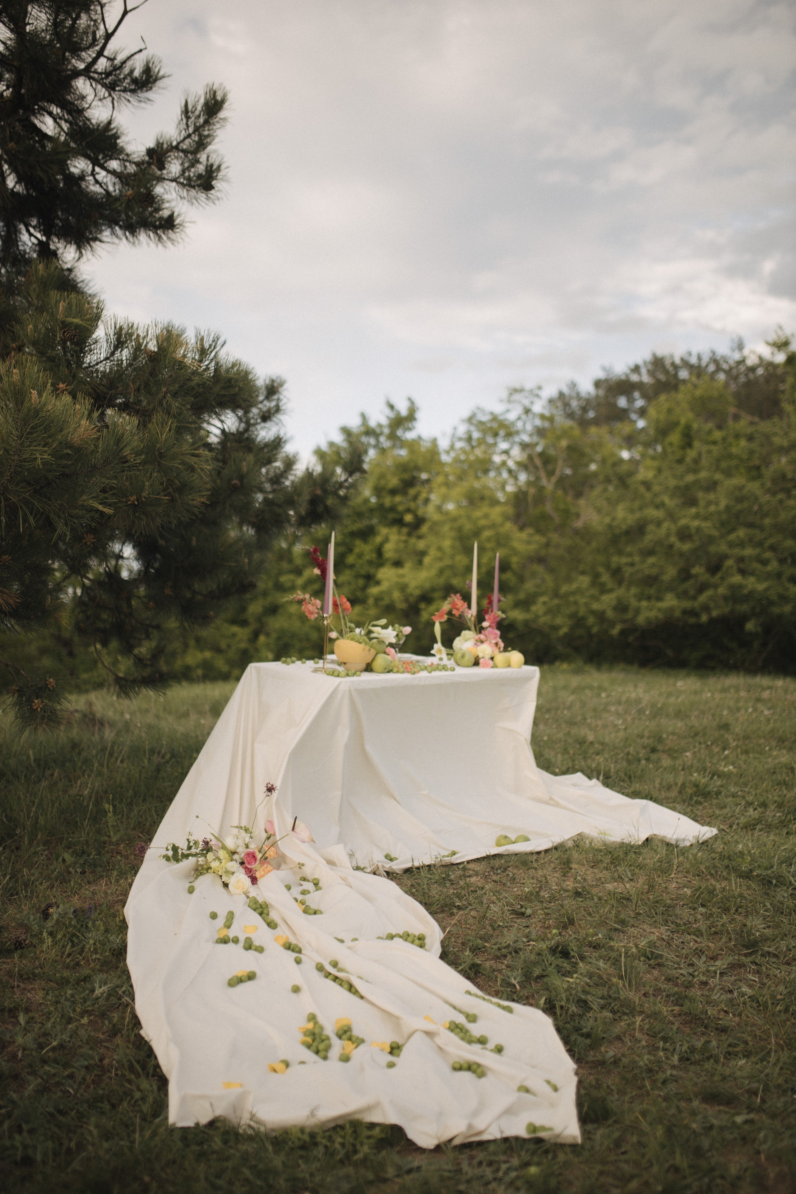 Nature. Свадебный фотограф Тбилиси Грузия