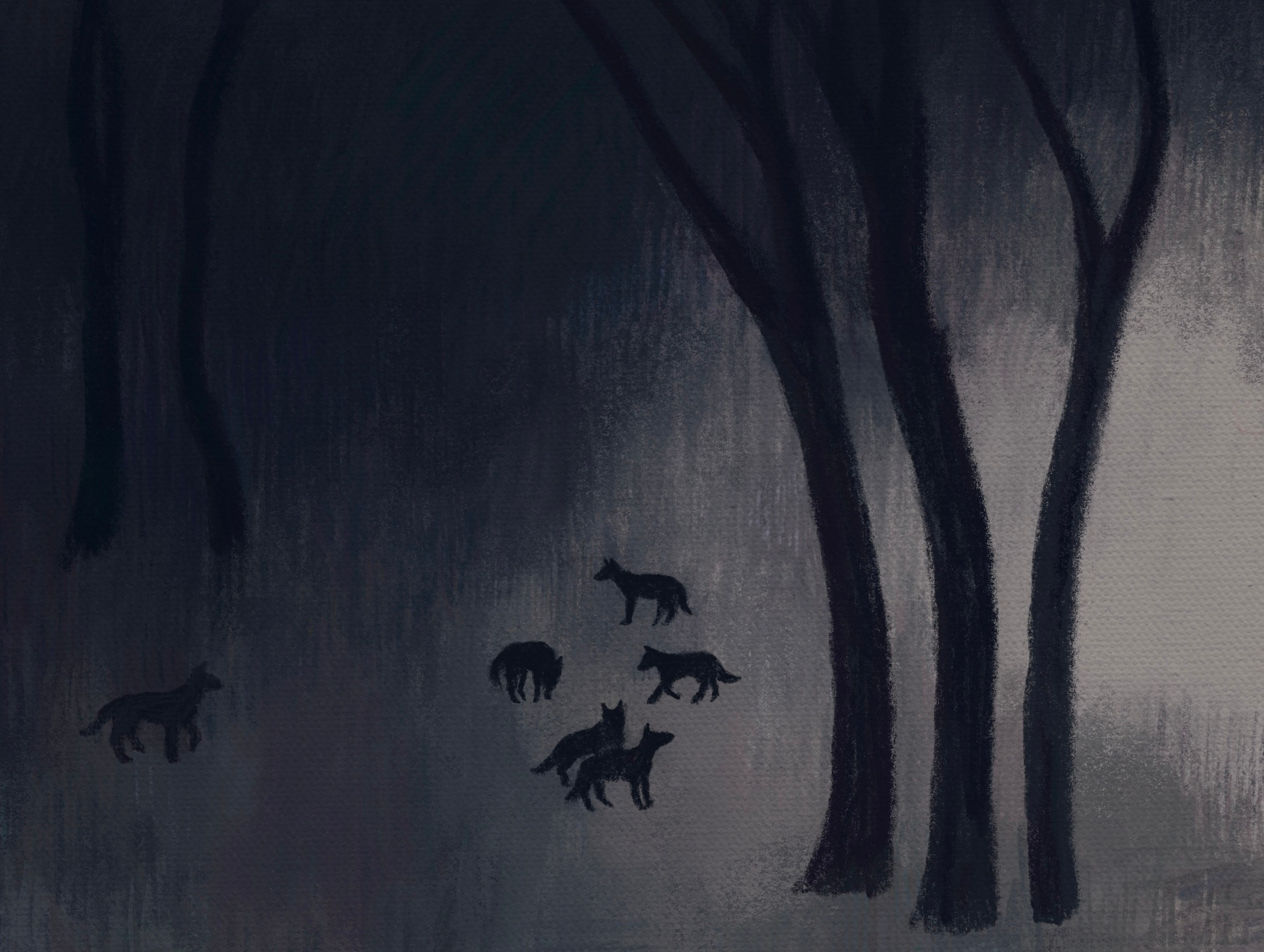 Paris. Marina Antonova