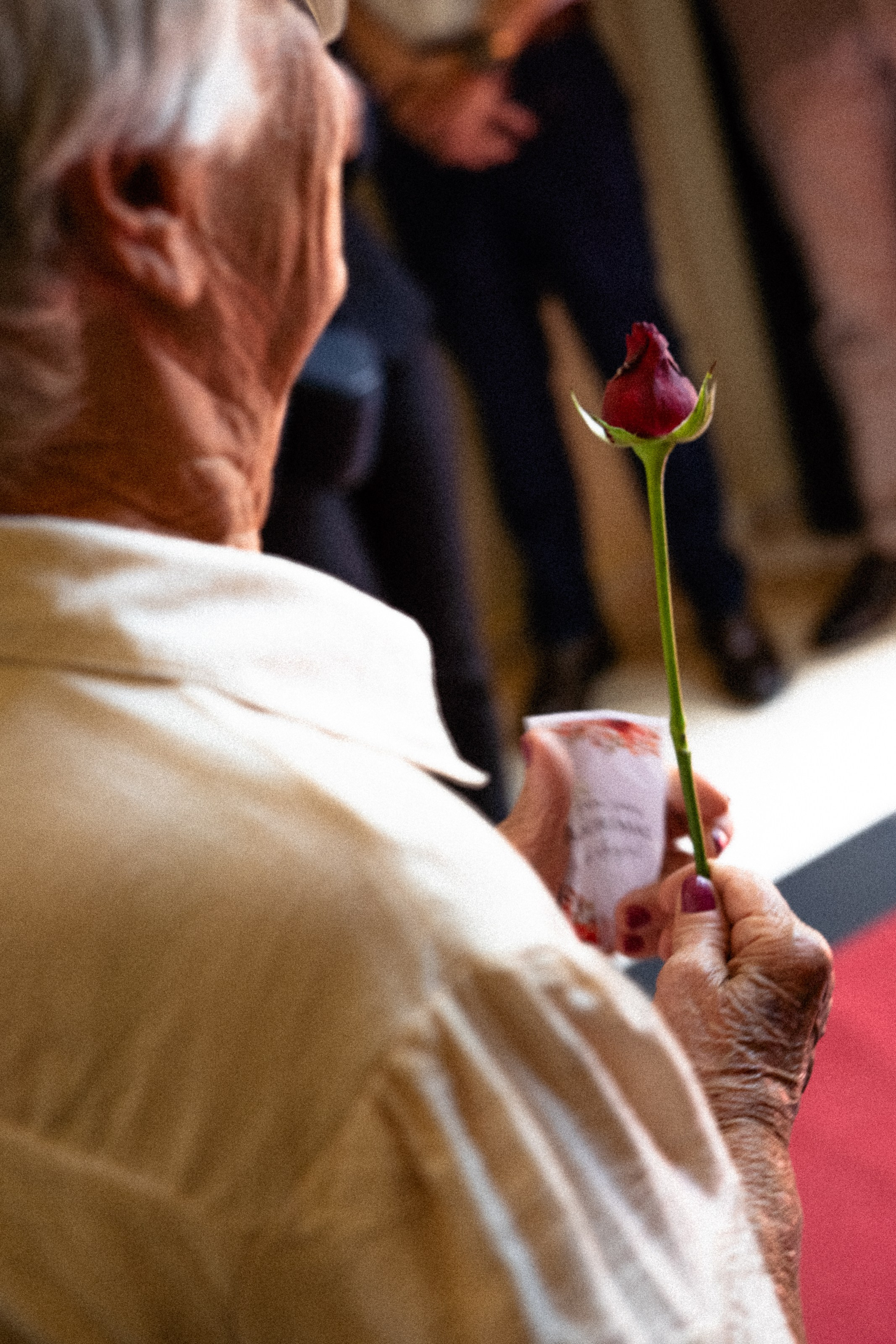 Casamento Marceli e Diego — Vinícola Terras Altas. Fotógrafo de casamento e Filmmaker de casamento