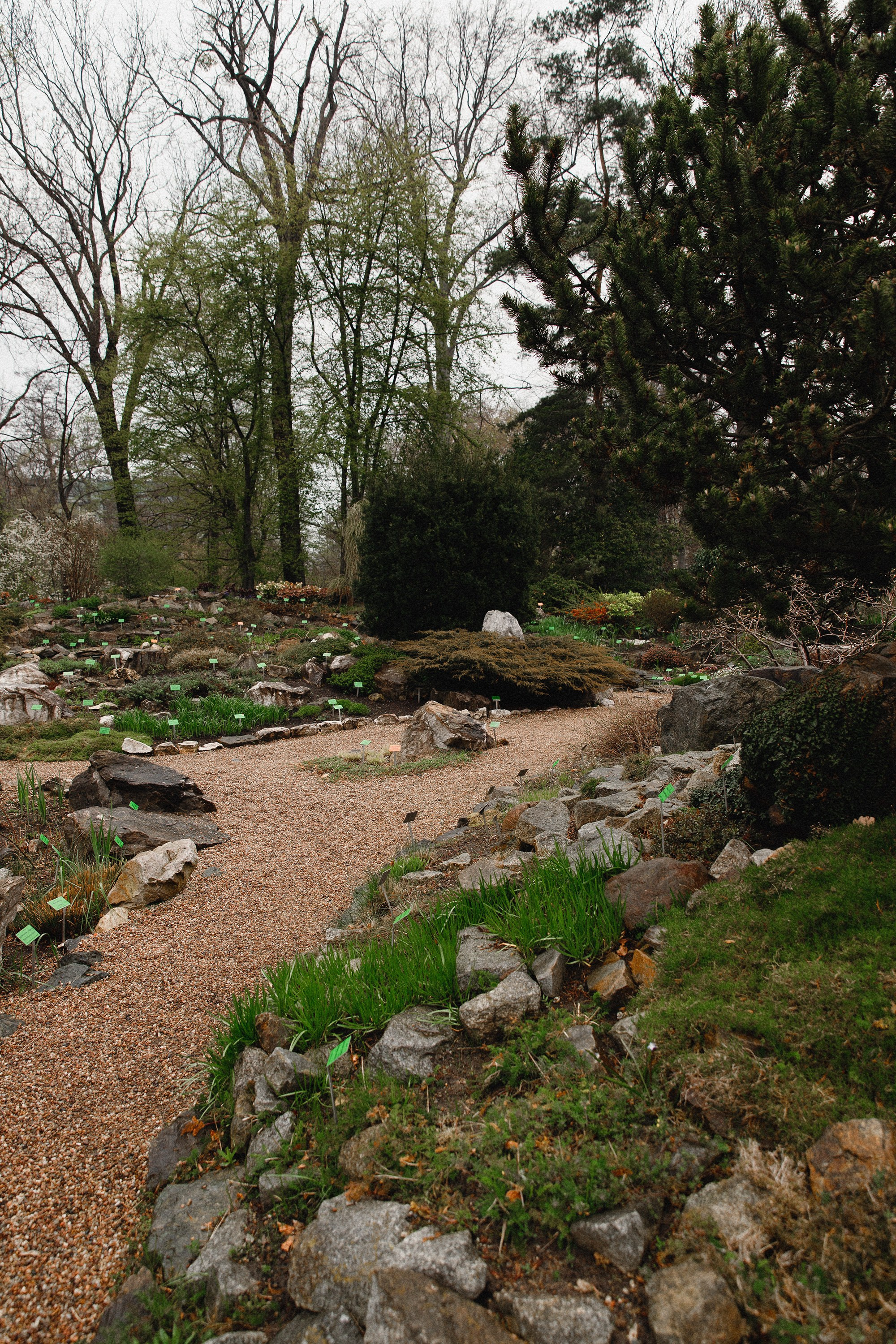 Botanical garden in Wroclaw. Kaja | fotograf we Wrocławiu | ludzie i psy