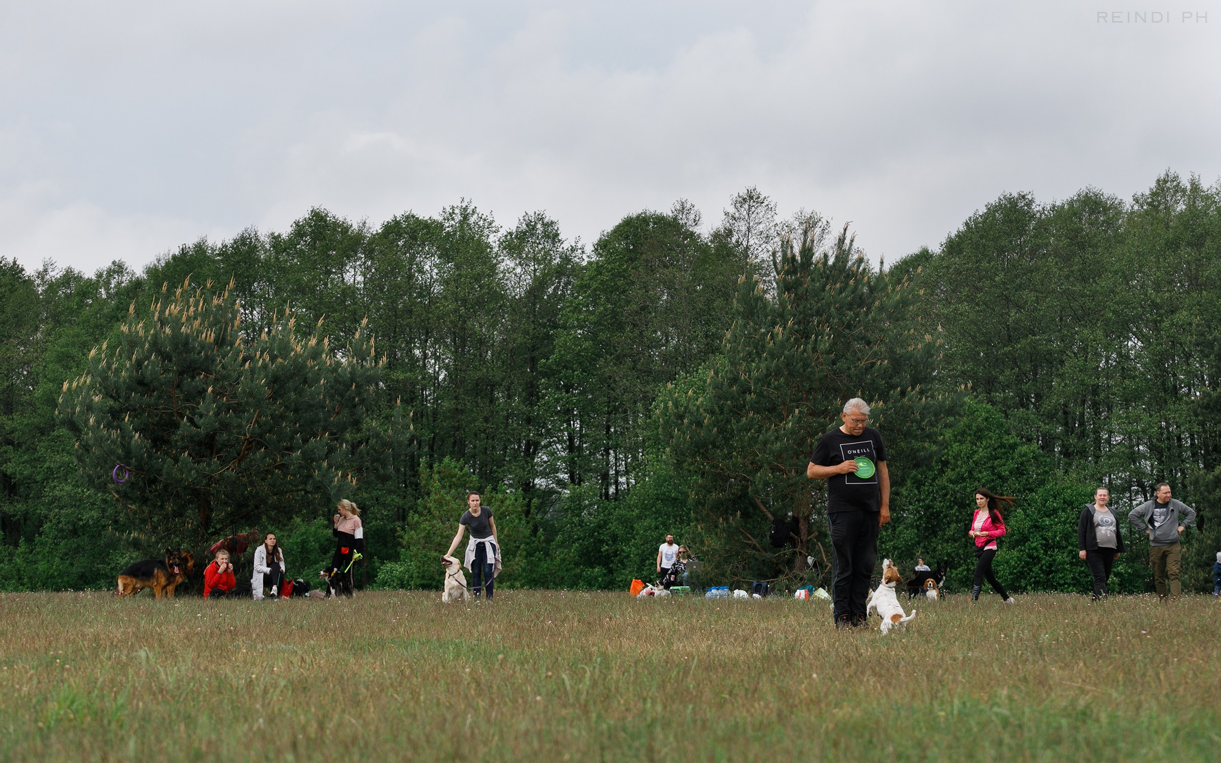 Dog frisbee championship | summer. Kaja | fotograf we Wrocławiu | ludzie i psy
