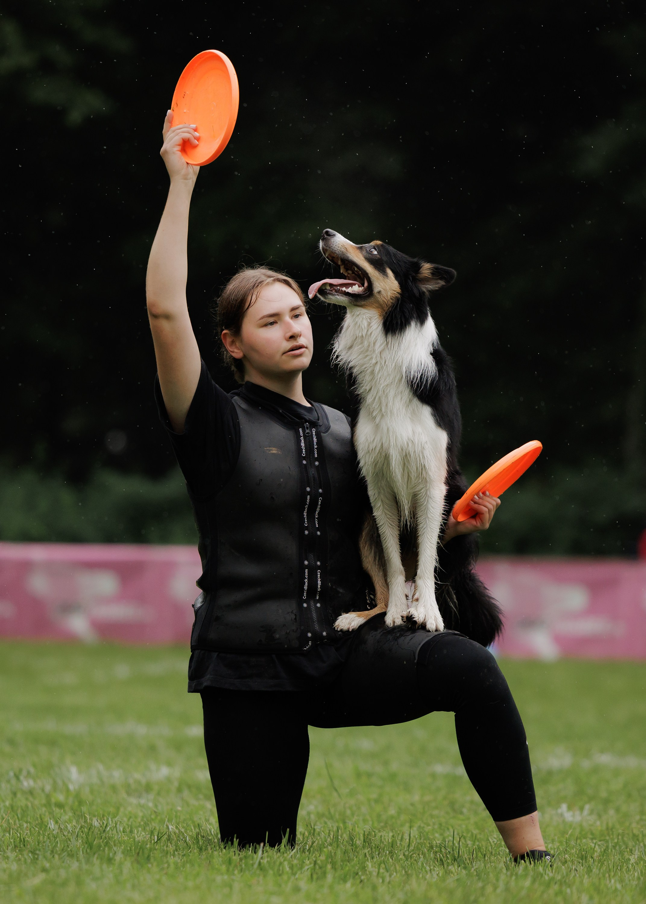 Latające psy, Wrocław'25. Kaja | fotograf psów we Wrocławiu