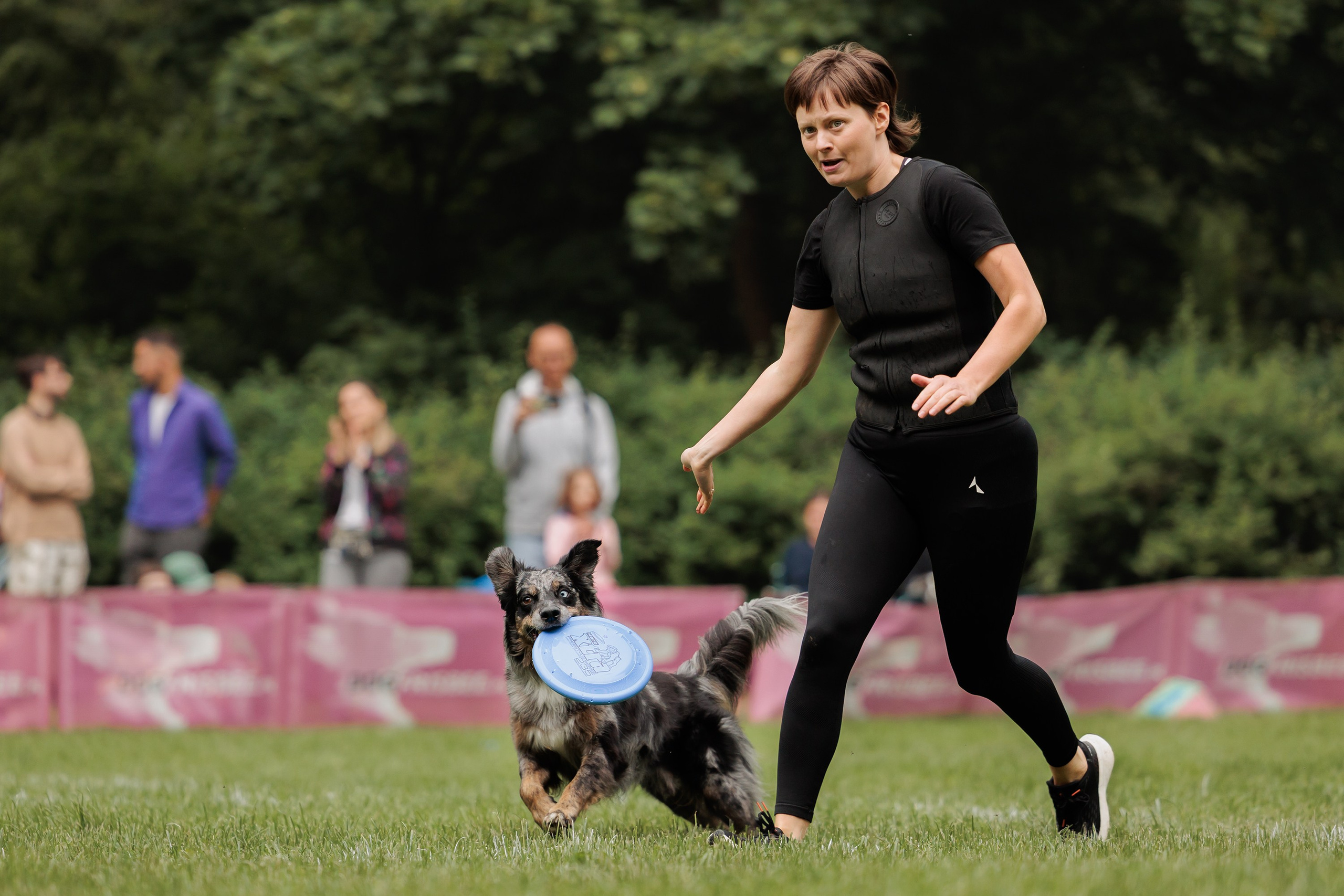 Latające psy, Wrocław'25. Kaja | fotograf psów we Wrocławiu