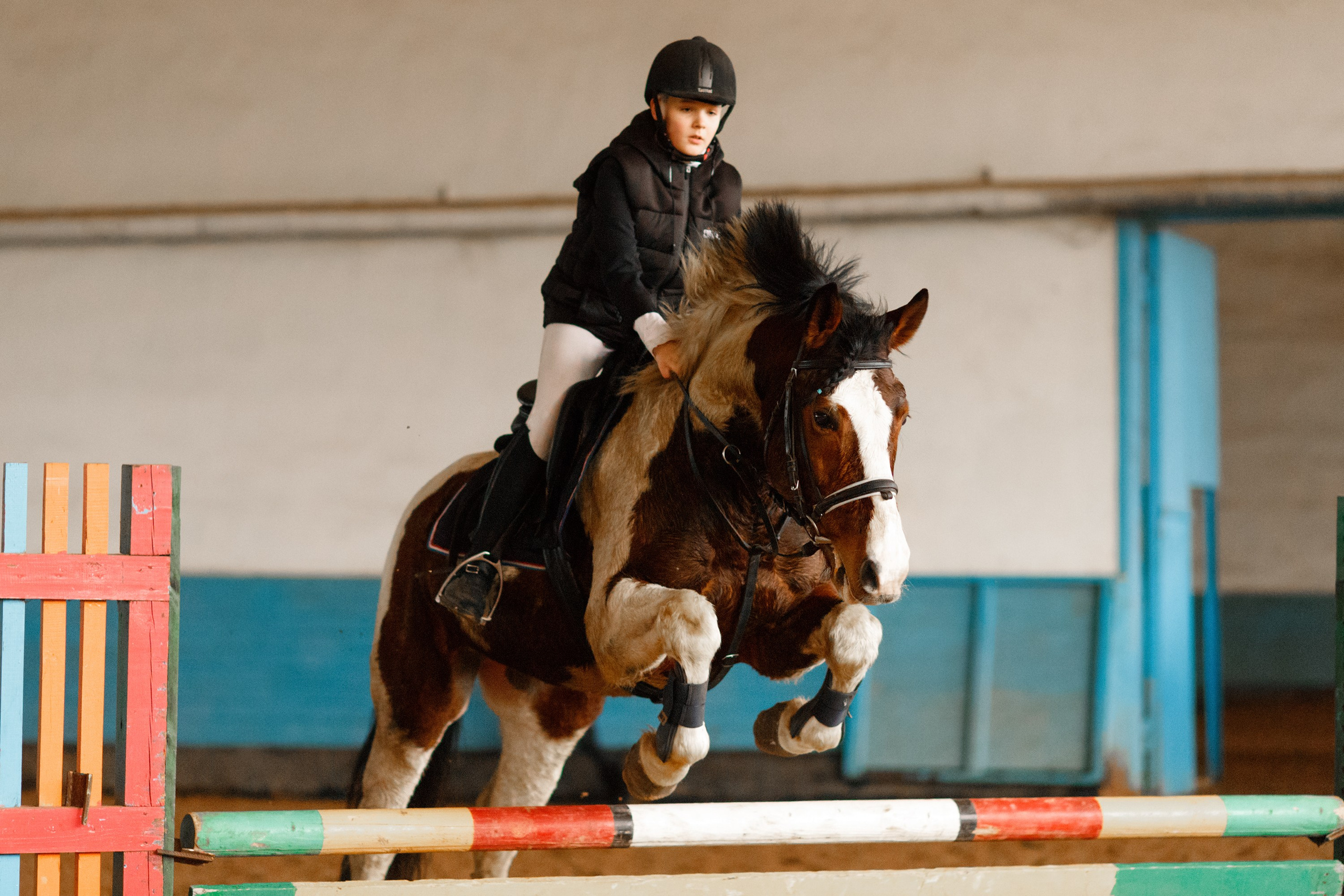 Winter show jumping in «Progress». Kaja | fotograf we Wrocławiu | ludzie i psy