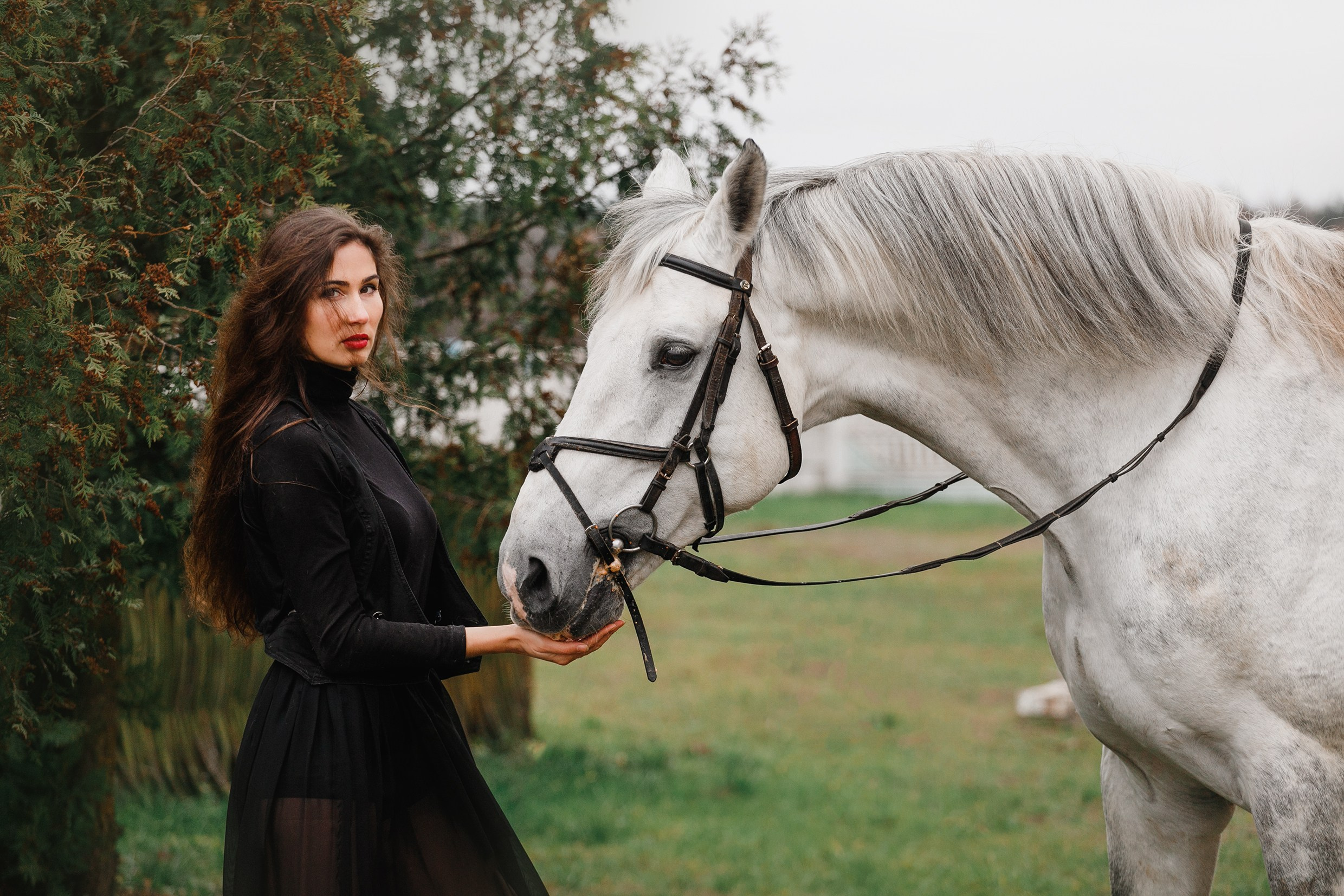 Anna & Crusador. Kaja | fotograf psów we Wrocławiu