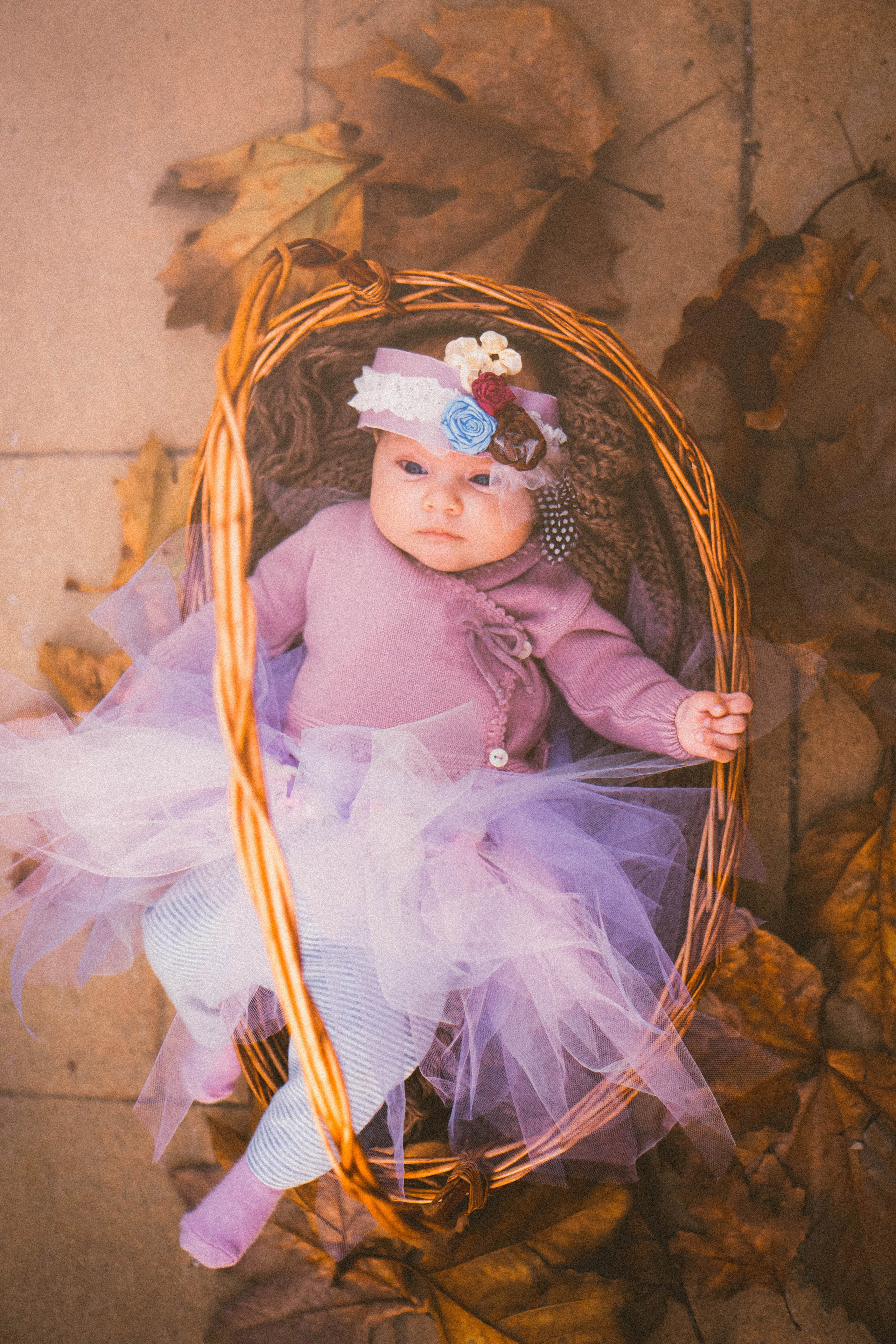 Olivia. Alba del Norte Studio