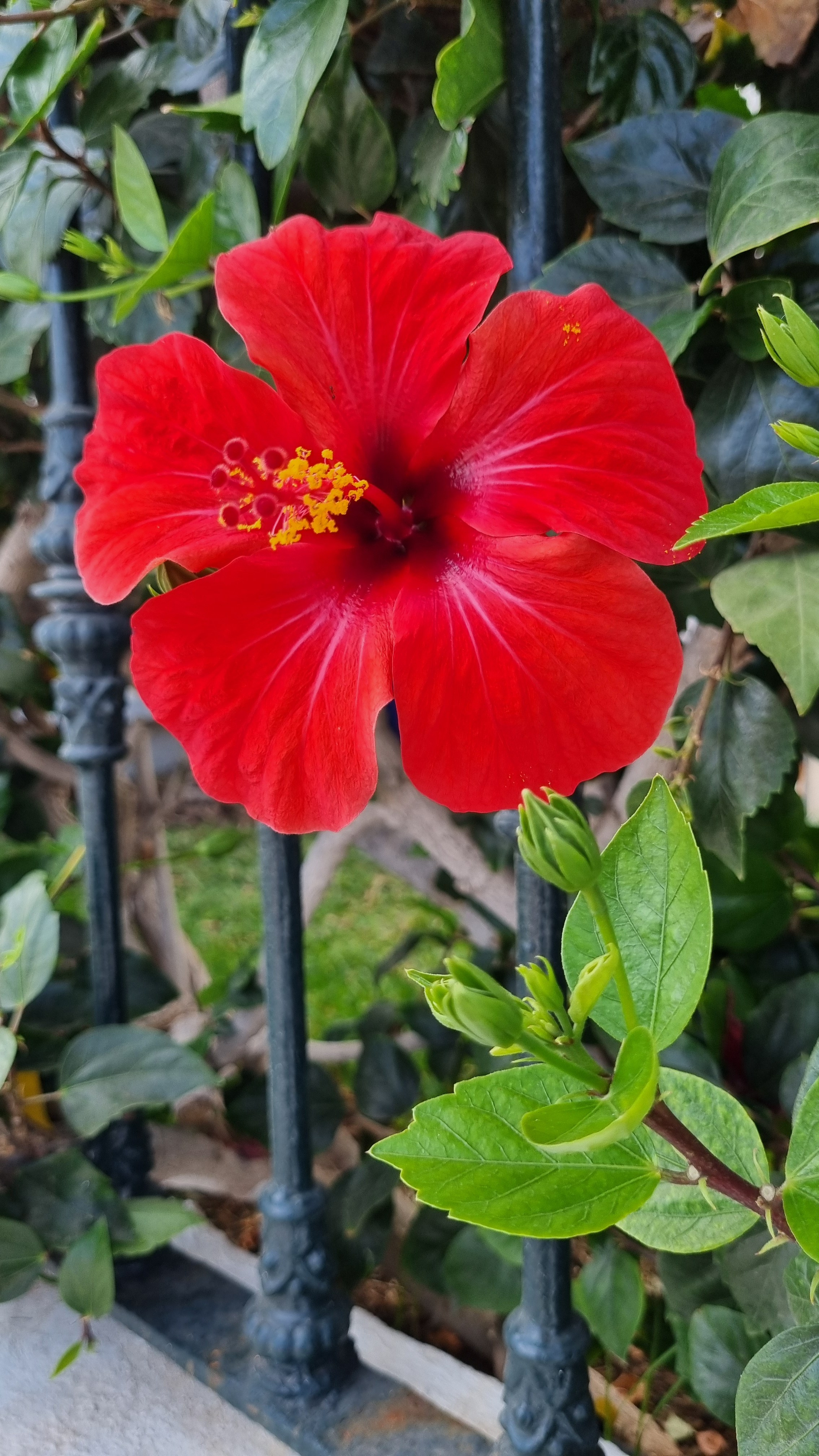 Gran Canaria 2024. Марина фотограф из Нюрнберга