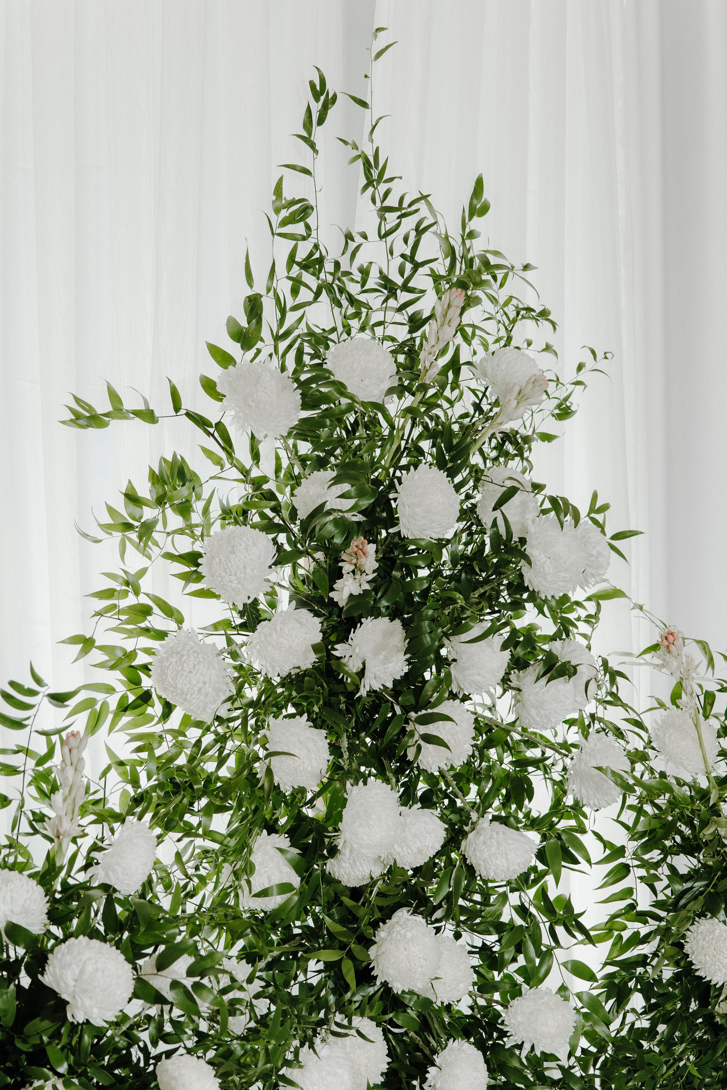 Fatima & Saif Melcha