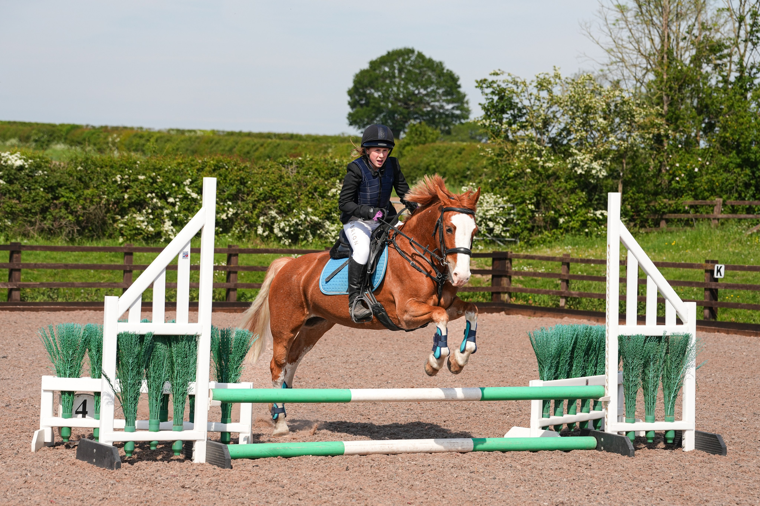 Show Jumping Photography in Leicestershire | Equine Action Shots by El. Leicestershire Equine Photography by El | Authentic Equine Portraits & Events
