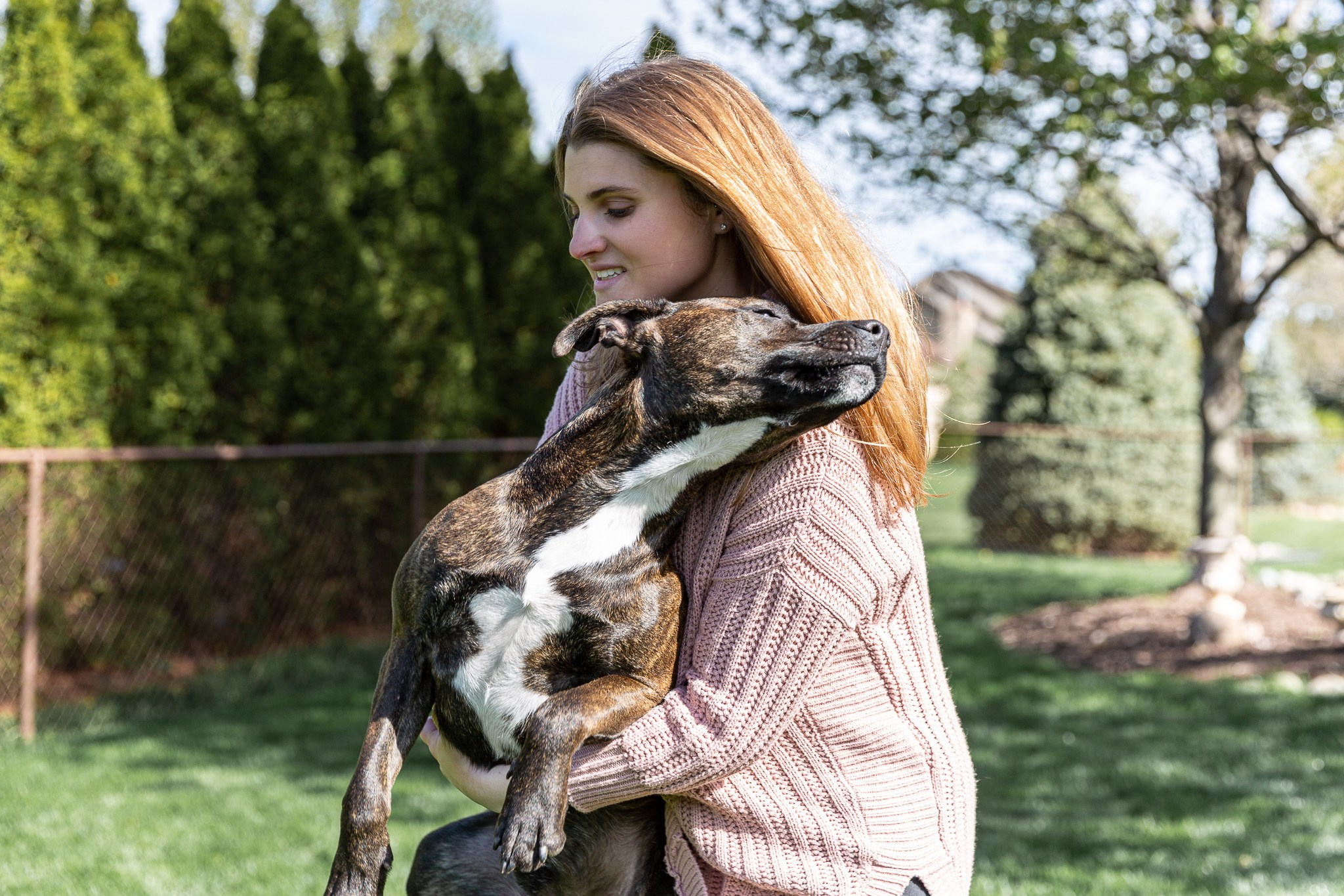 Pets. Pic-Cha Photography | Photographer & Media Content Creator | Metro Detroit Area, Michigan