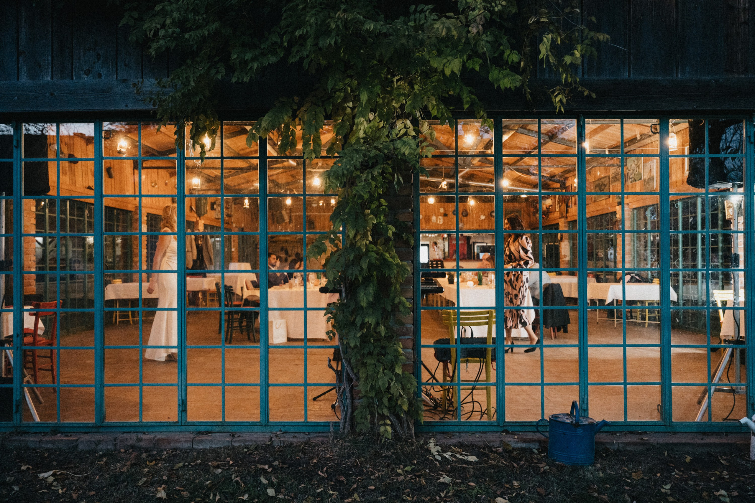 Wedding photography. Wedding photography