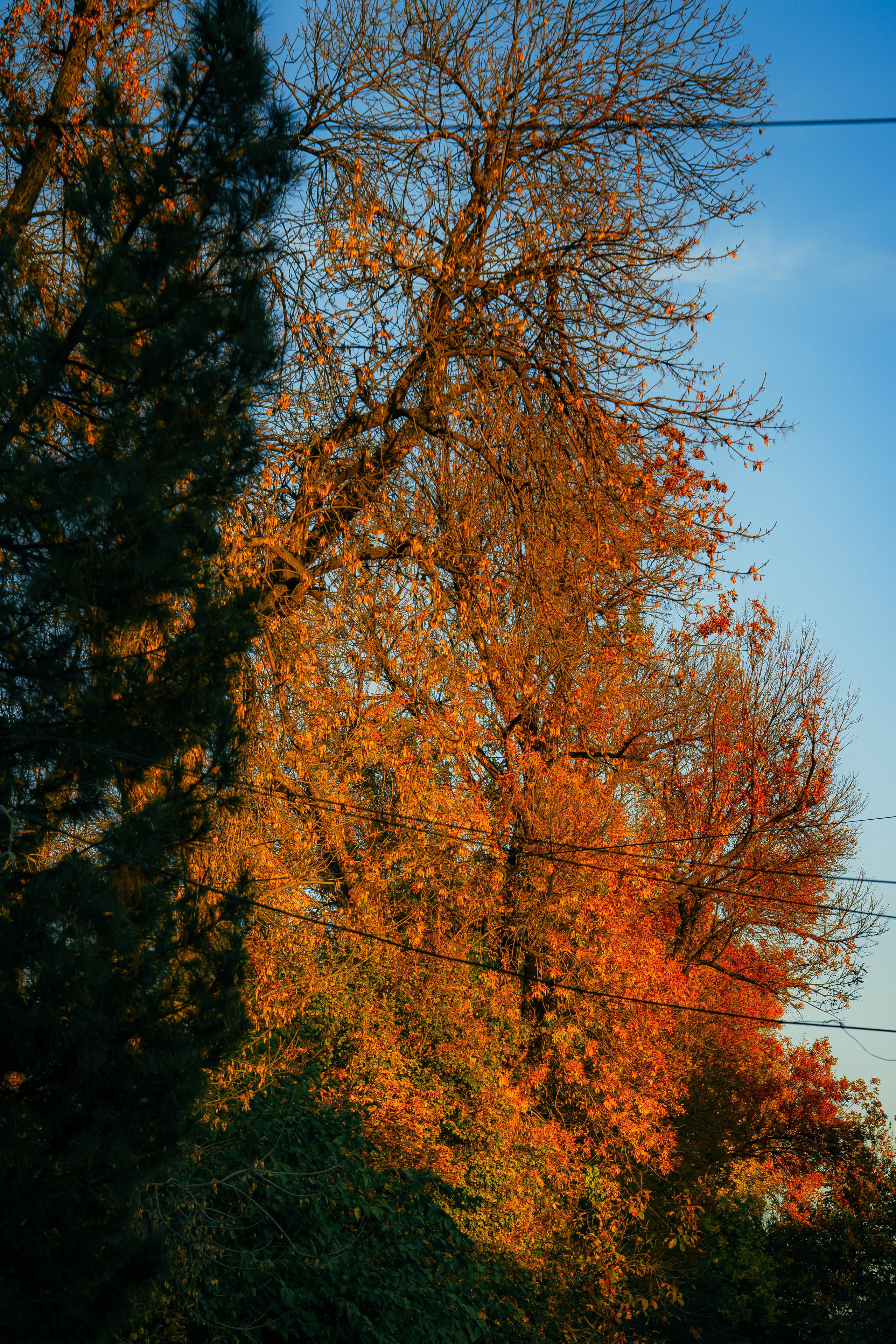 Стрит и Урбан. Георгий Намазов | Фотограф в Ташкенте
