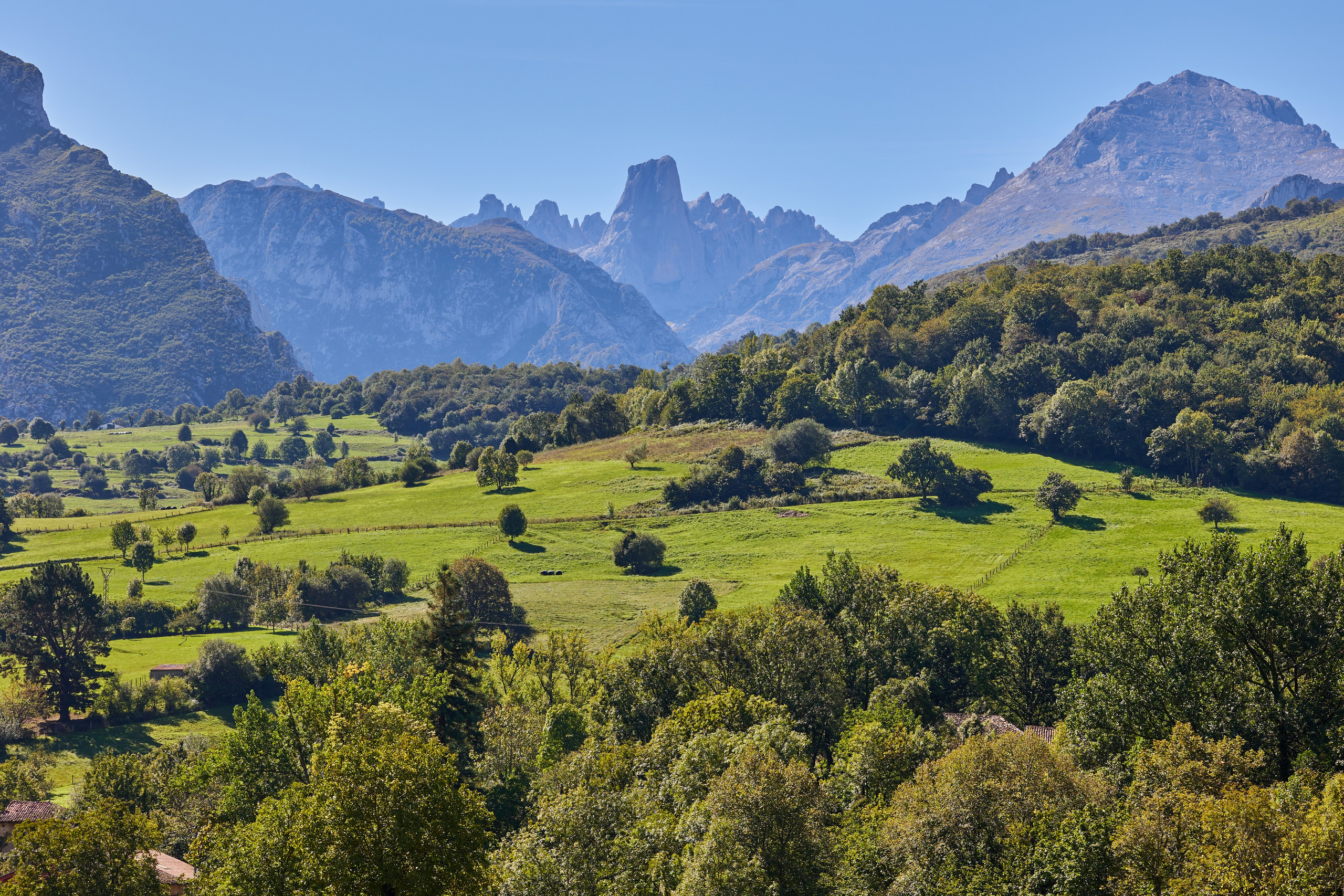 Vista panorámica de un valle verde con árboles dispersos y picos imponentes en el parque nacional de los Picos de Europa