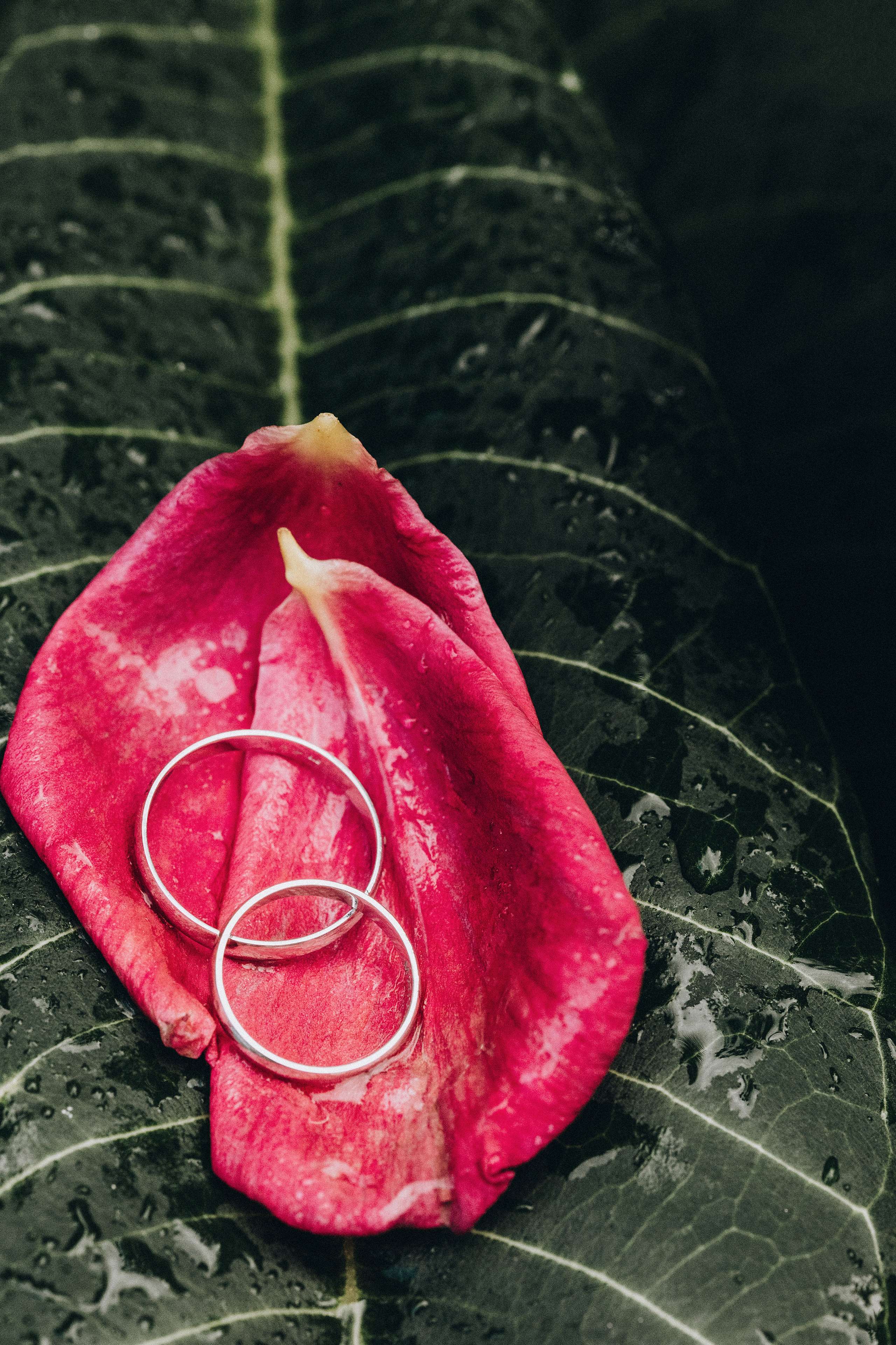 Elena & Miguel. Photographer Tenerife Edgar Zubarev