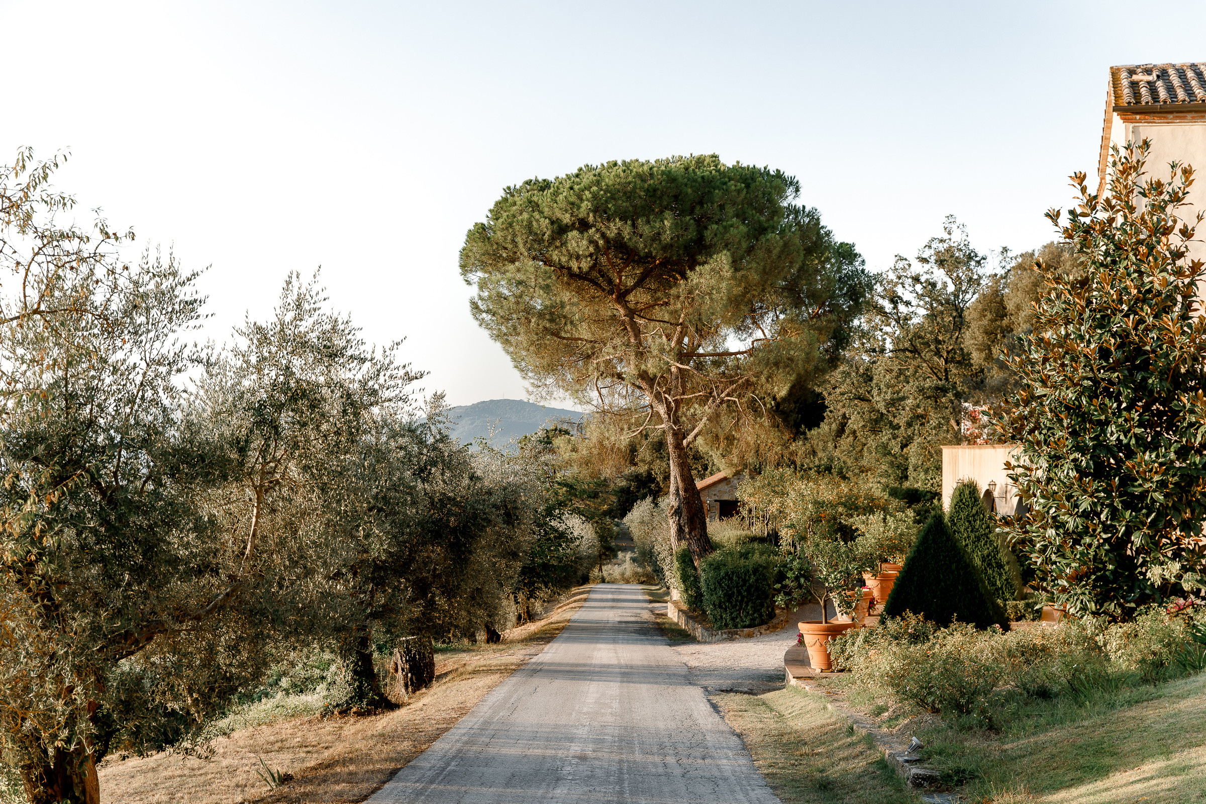 Eric and Varya. Wedding and family photographer Alex Glushakov