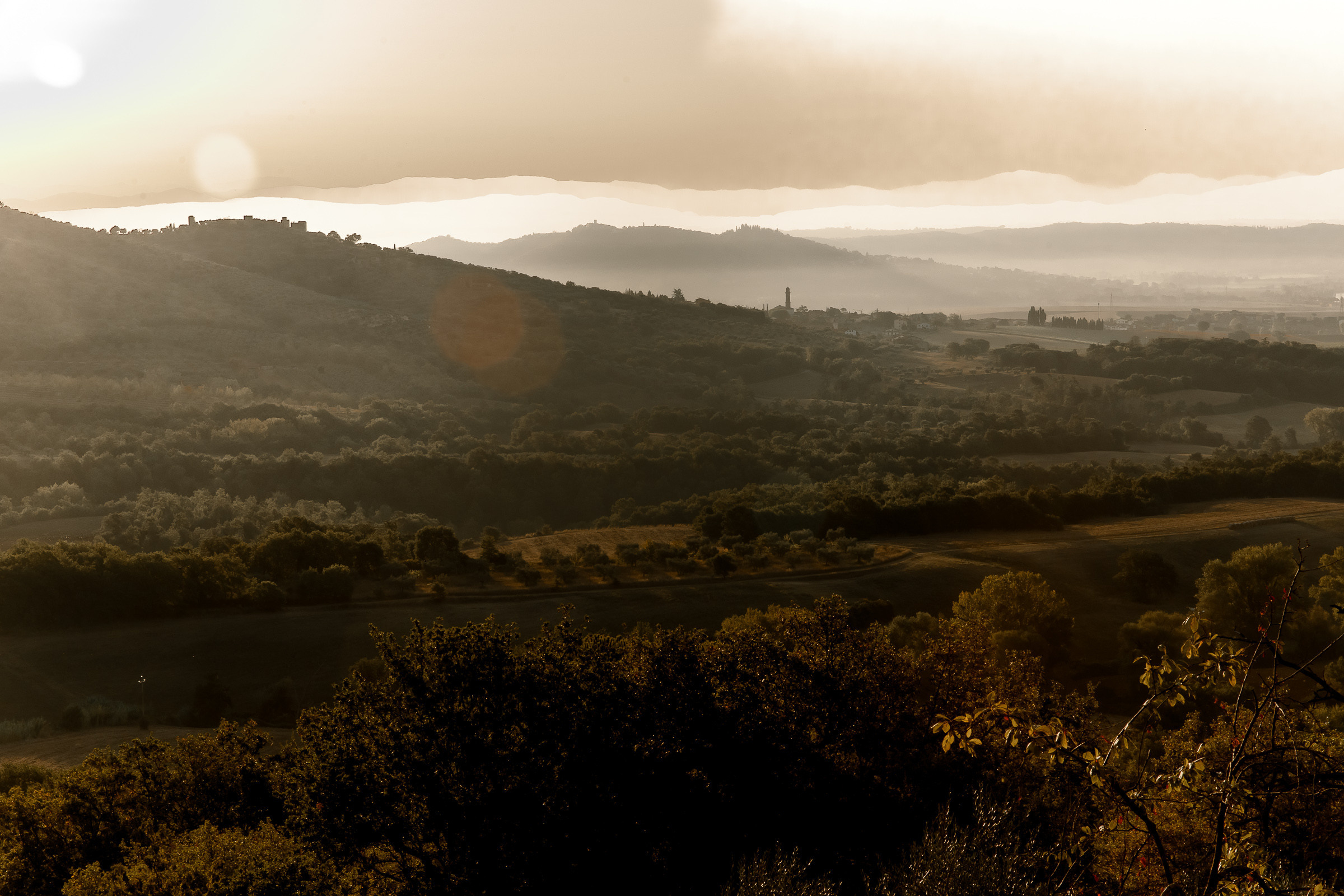 Eric and Varya. Wedding and family photographer Alex Glushakov